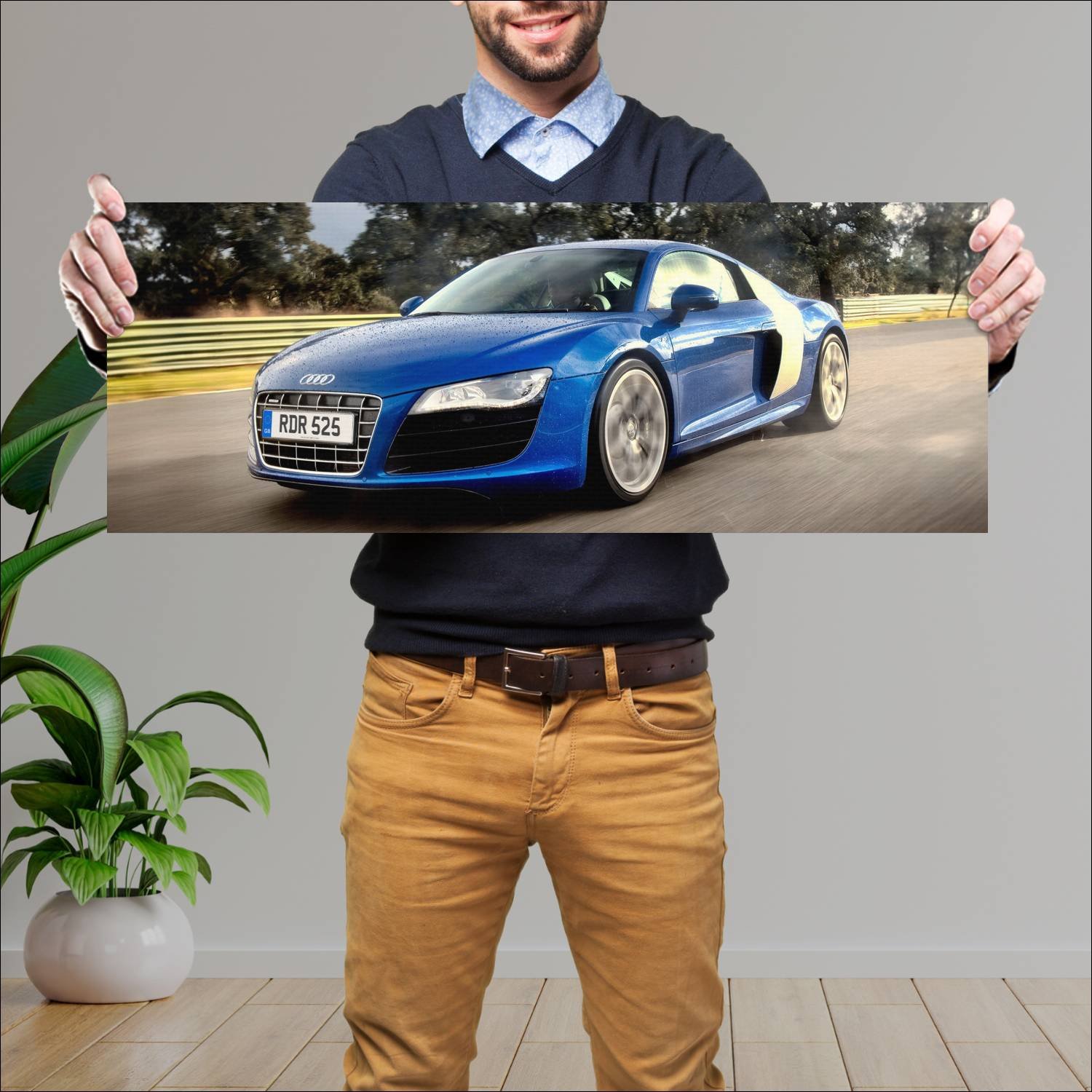 Cuadro grande 30x80cm 2009 audi r8 v10 coupe uk 87 477 Audi