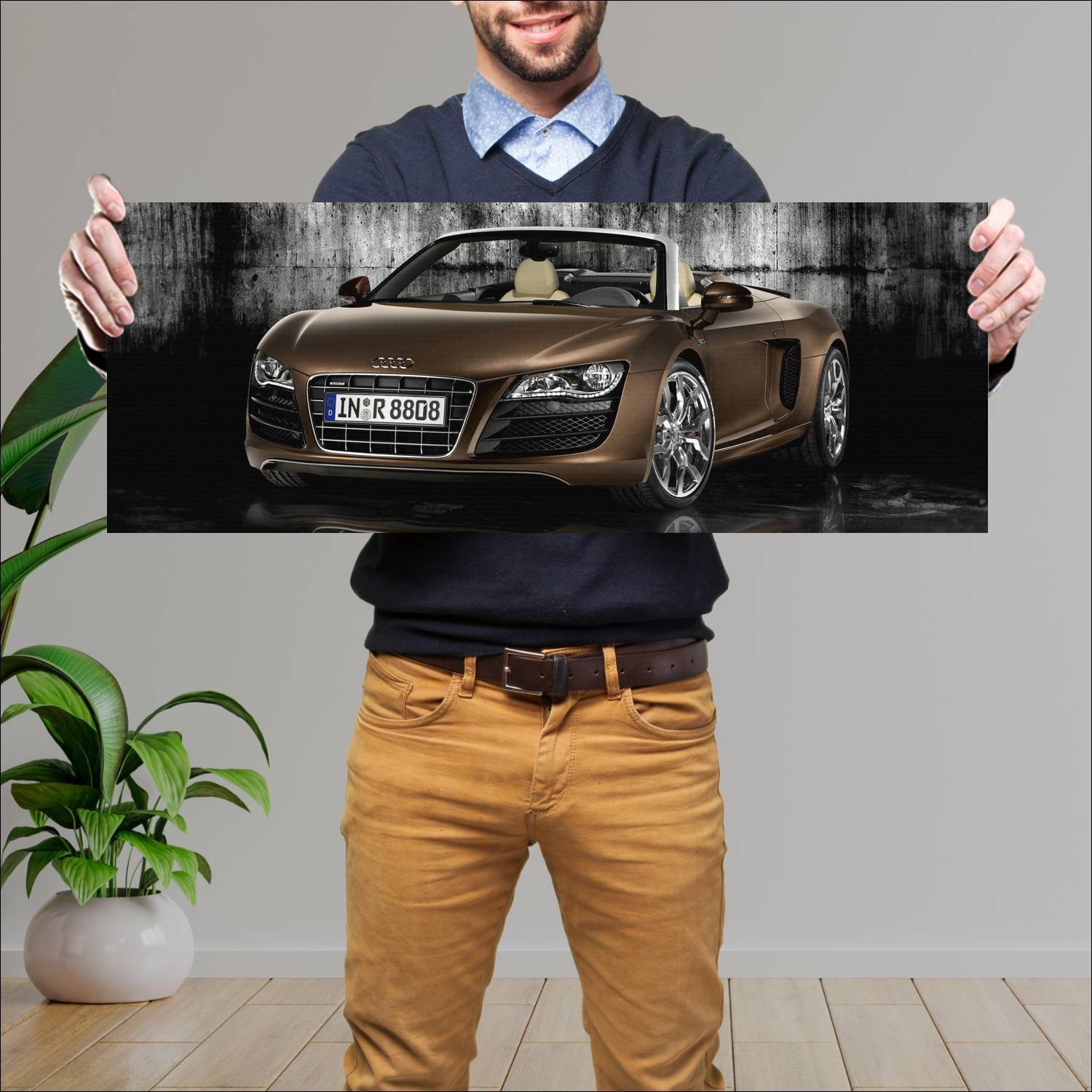 Cuadro grande 30x80cm 2009 audi r8 v10 spyder Audi