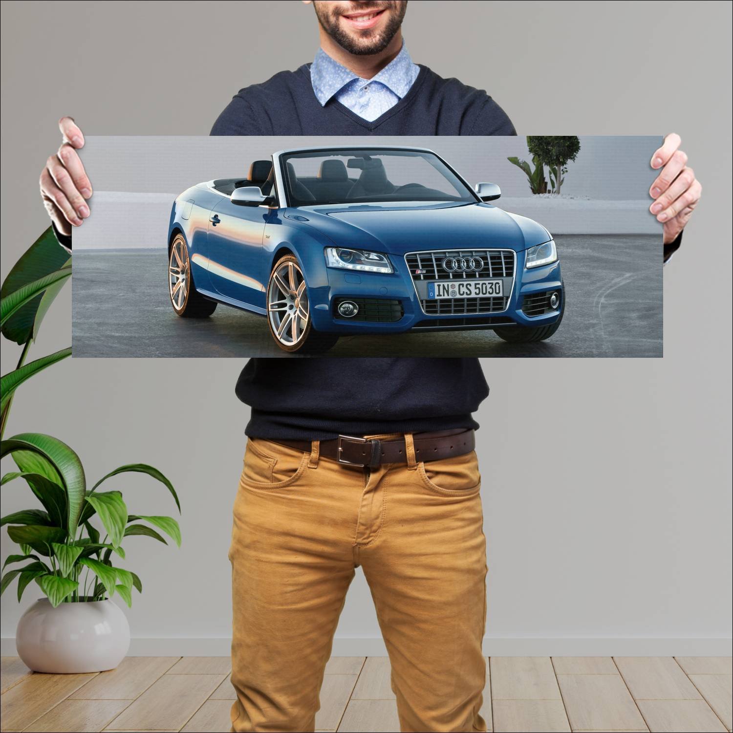 Cuadro grande 30x80cm 2009 audi s5 cabriolet auto 489 Audi