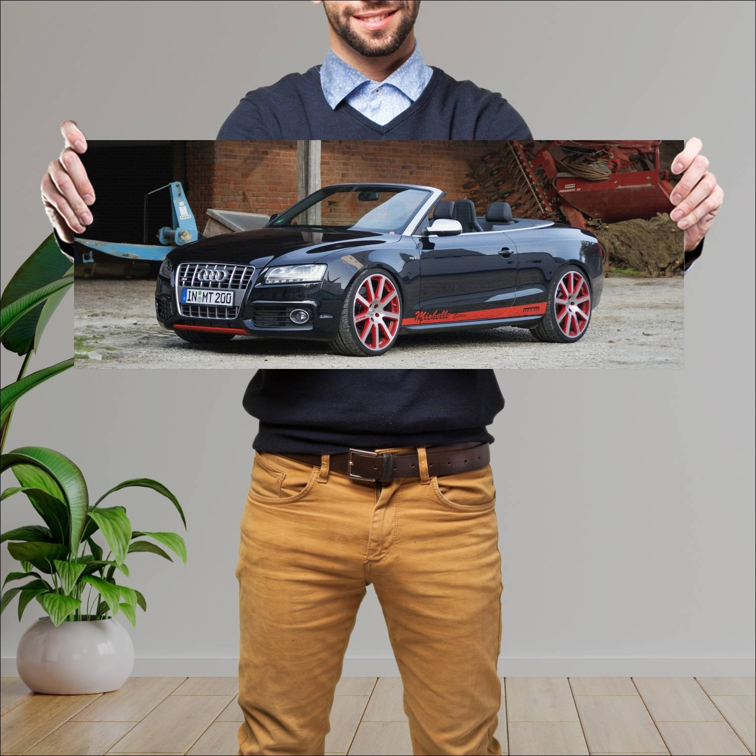 Cuadro grande 30x80cm 2009 audi s5 cabriolet miche 490 Audi