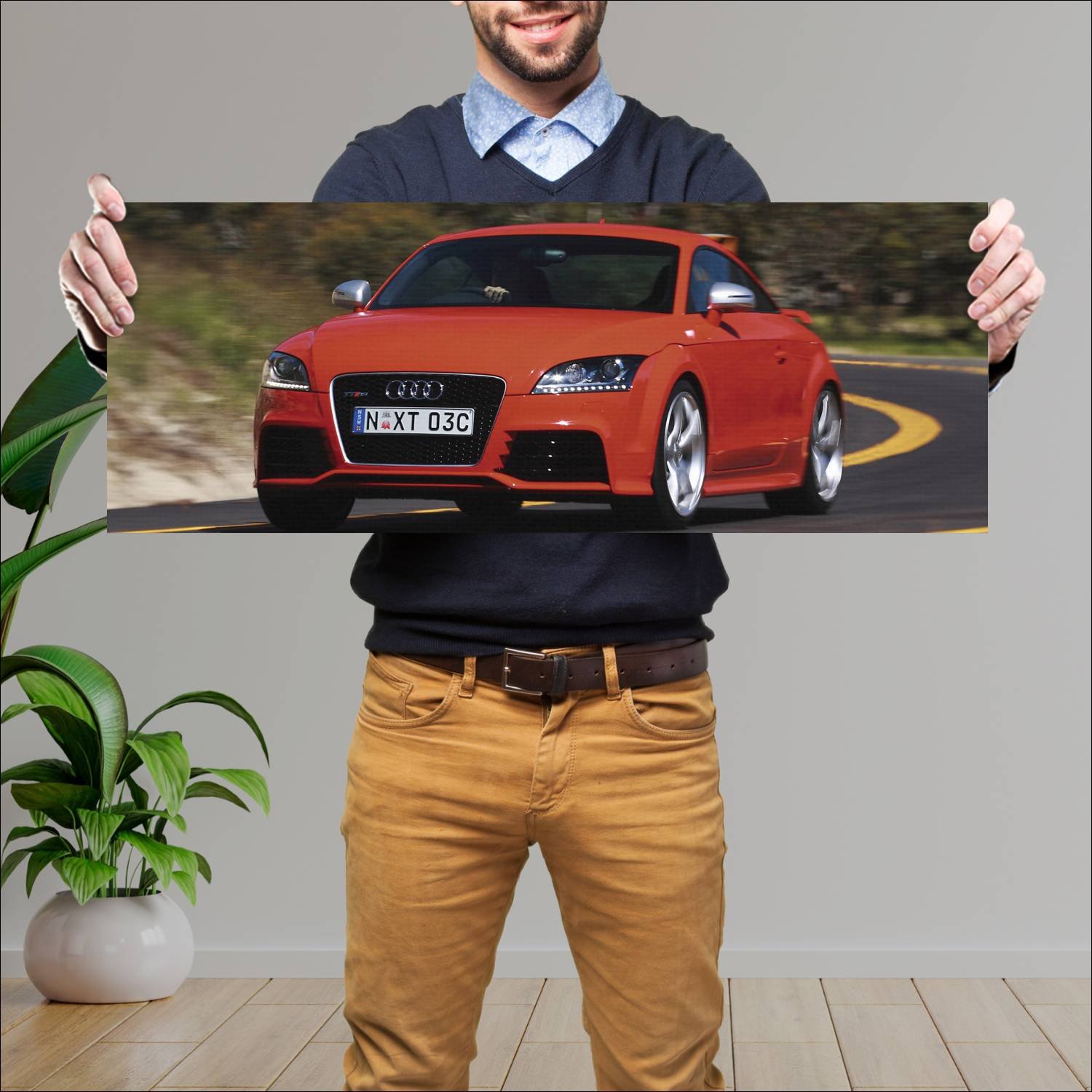 Cuadro grande 30x80cm 2009 audi tt rs coupe au 867 497 Audi