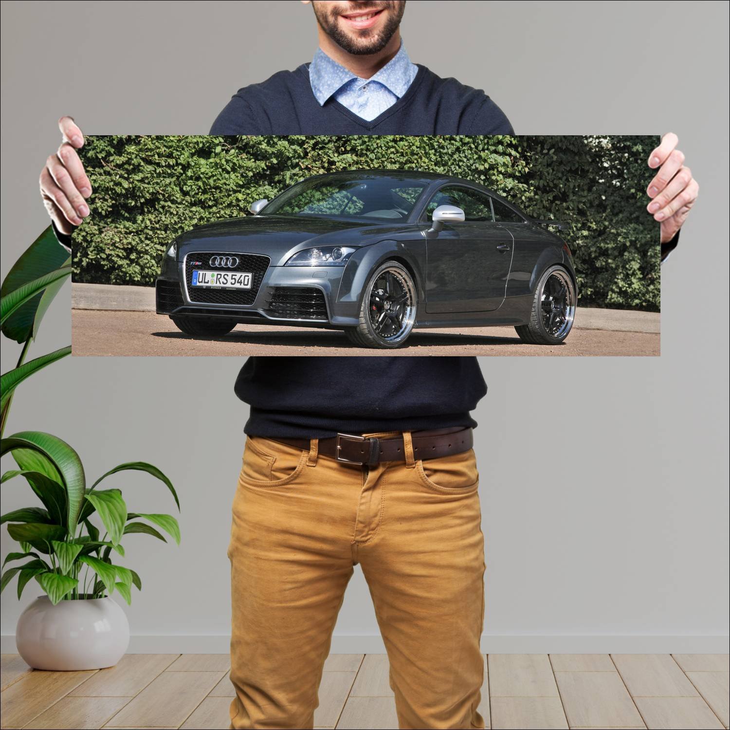 Cuadro grande 30x80cm 2009 audi tt rs coupe by mcc 499 Audi