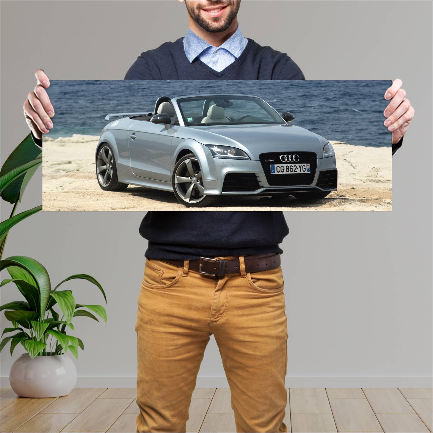 Cuadro grande 30x80cm 2009 audi tt rs roadster 867 502 Audi