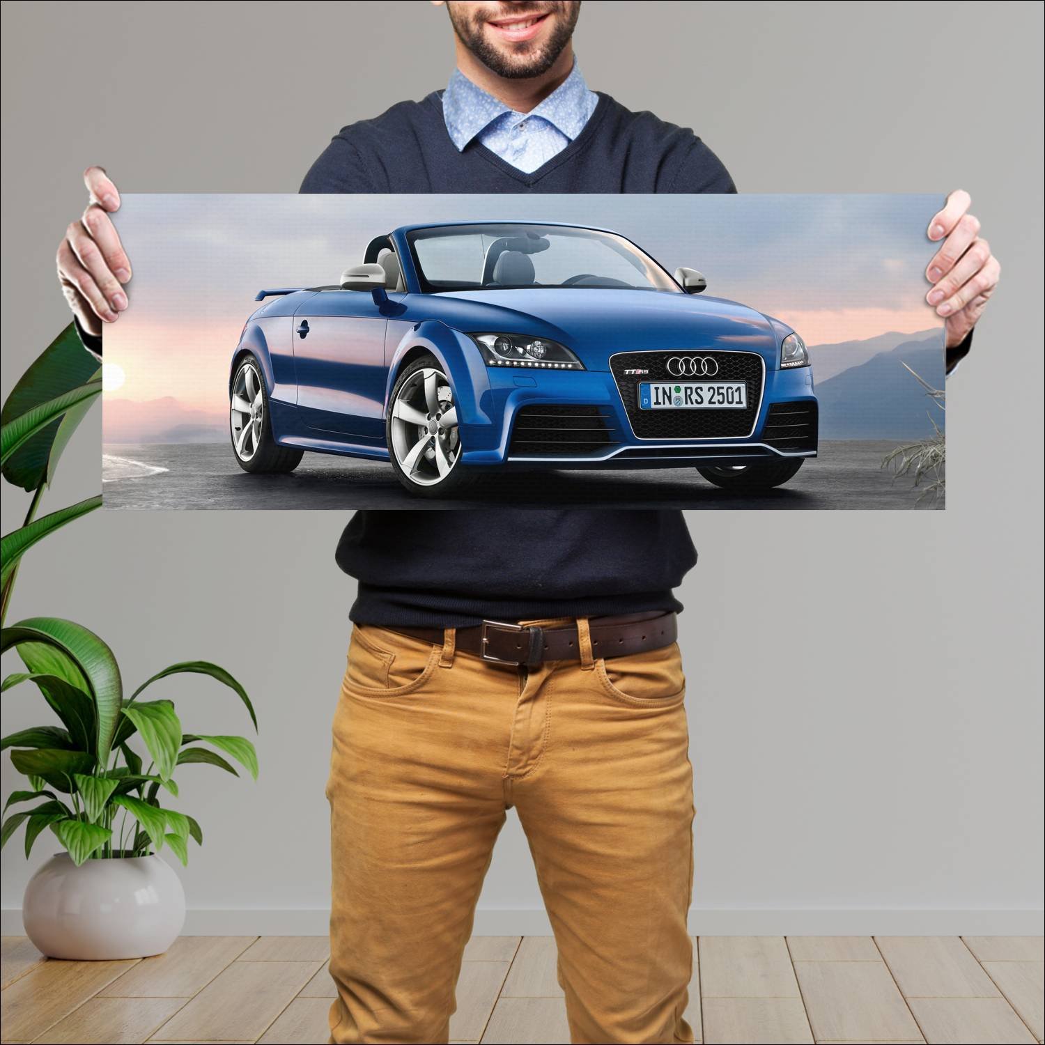 Cuadro grande 30x80cm 2009 audi tt rs roadster 867 503 Audi