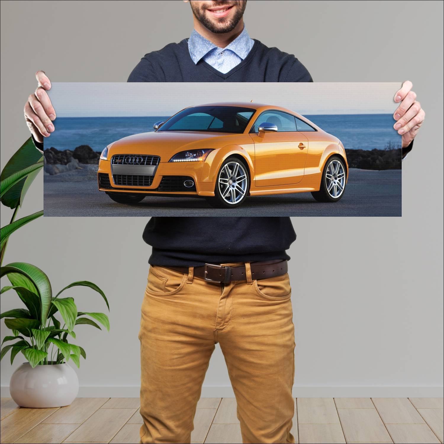 Cuadro grande 30x80cm 2009 audi tts coupe us auto 508 Audi
