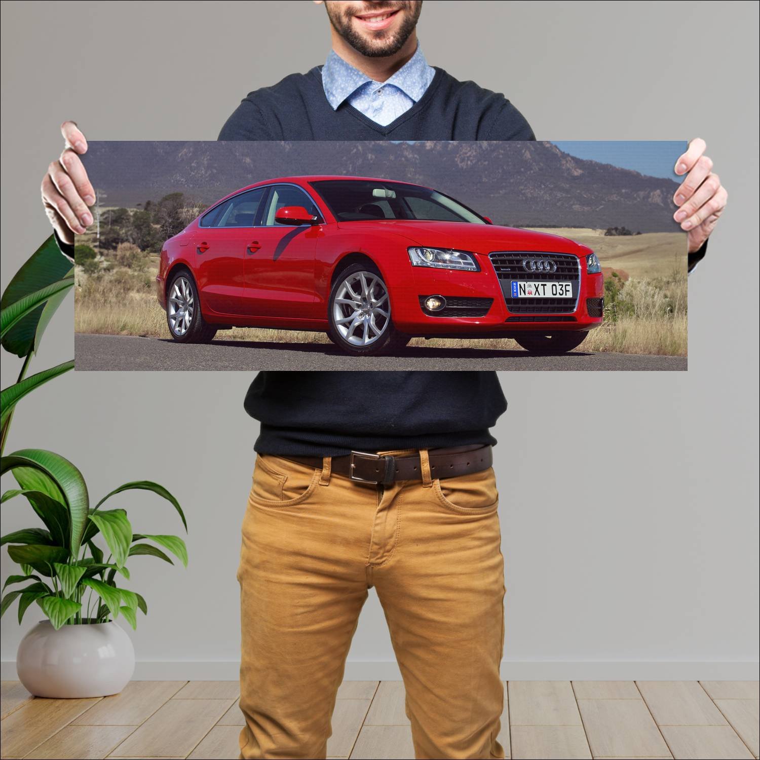 Cuadro grande 30x80cm 2010 audi a5 sportback au 87 534 Audi
