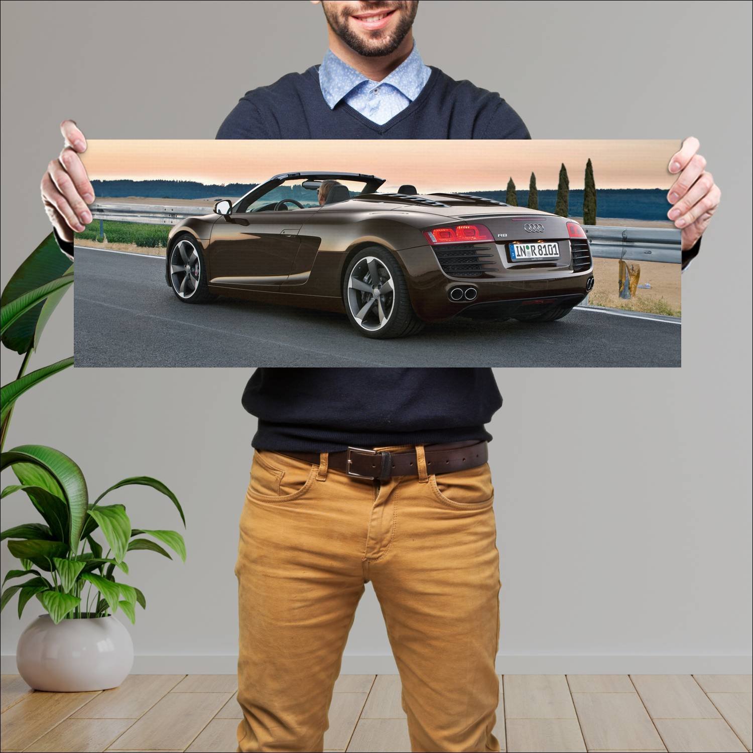 Cuadro grande 30x80cm 2010 audi r8 spyder auto 563 Audi