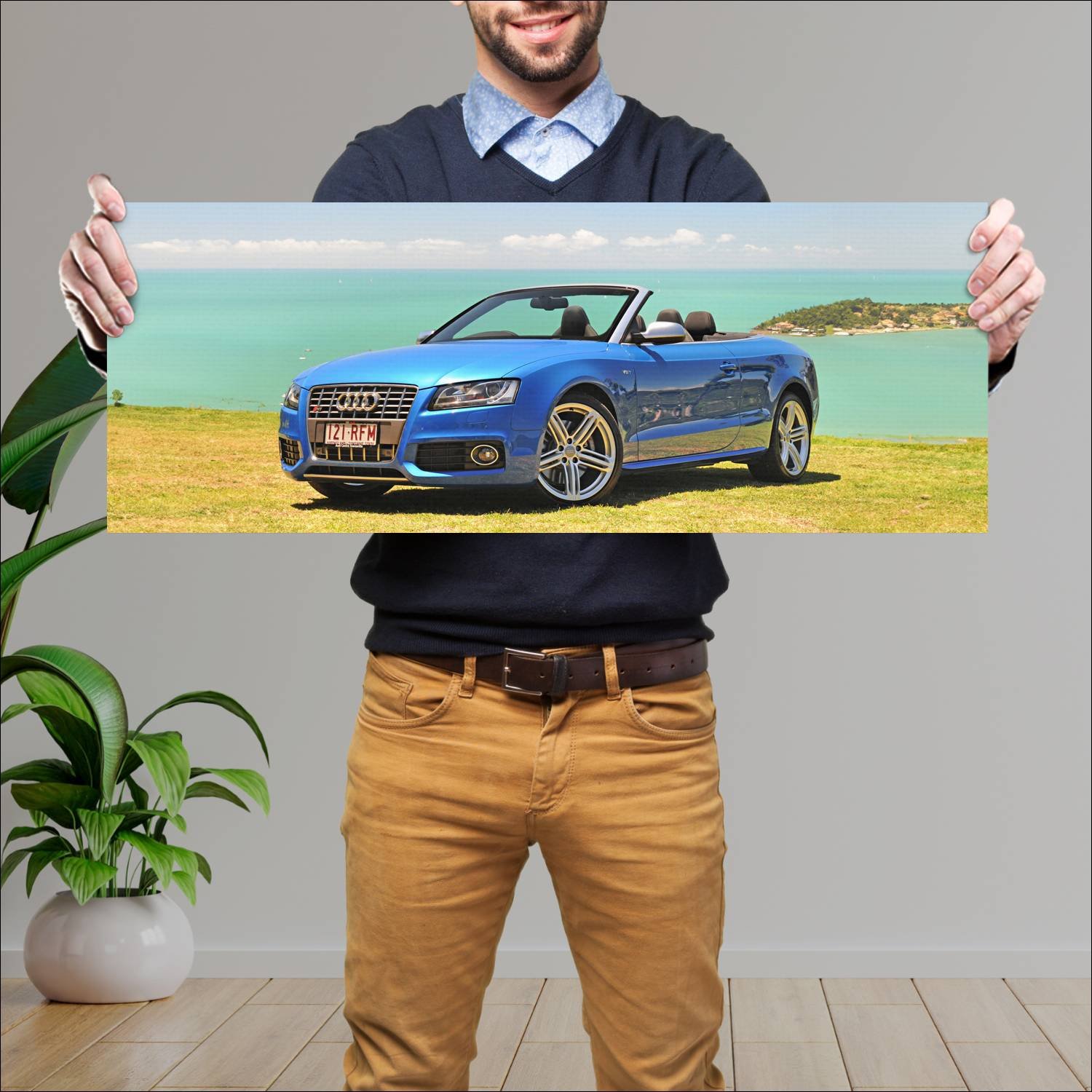 Cuadro grande 30x80cm 2010 audi s5 cabriolet au 87 582 Audi
