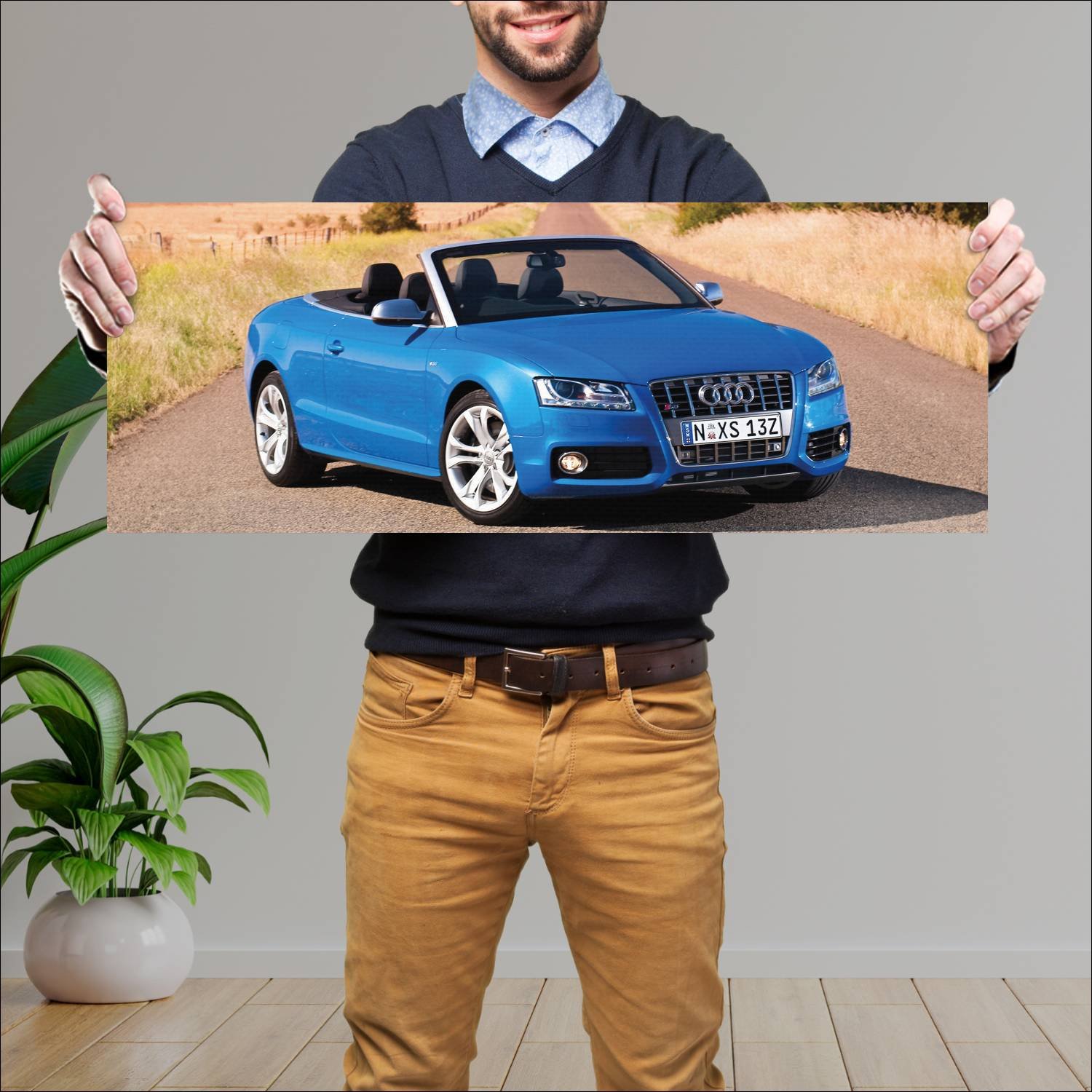 Cuadro grande 30x80cm 2010 audi s5 cabriolet au 87 583 Audi