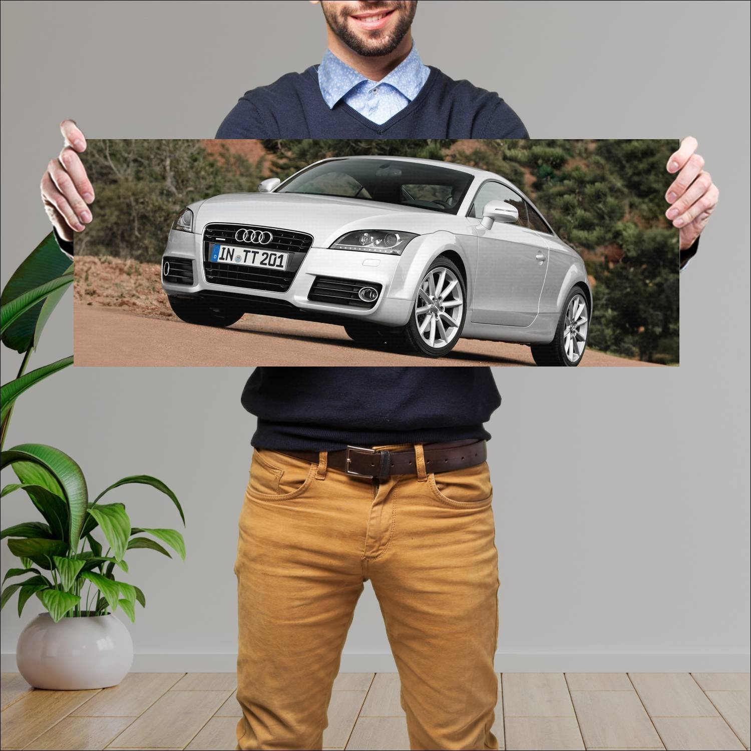 Cuadro grande 30x80cm 2010 audi tt coupe auto 588 Audi