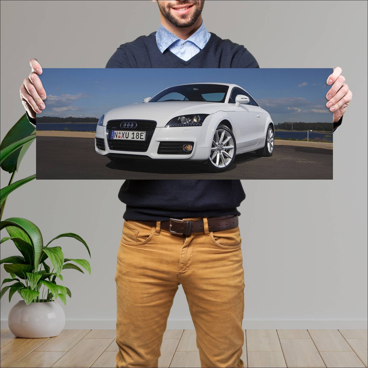 Cuadro grande 30x80cm 2010 audi tt coupe au auto 589 Audi