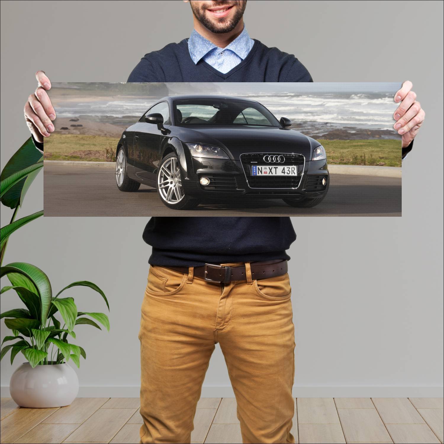 Cuadro grande 30x80cm 2010 audi tt coupe au auto 590 Audi