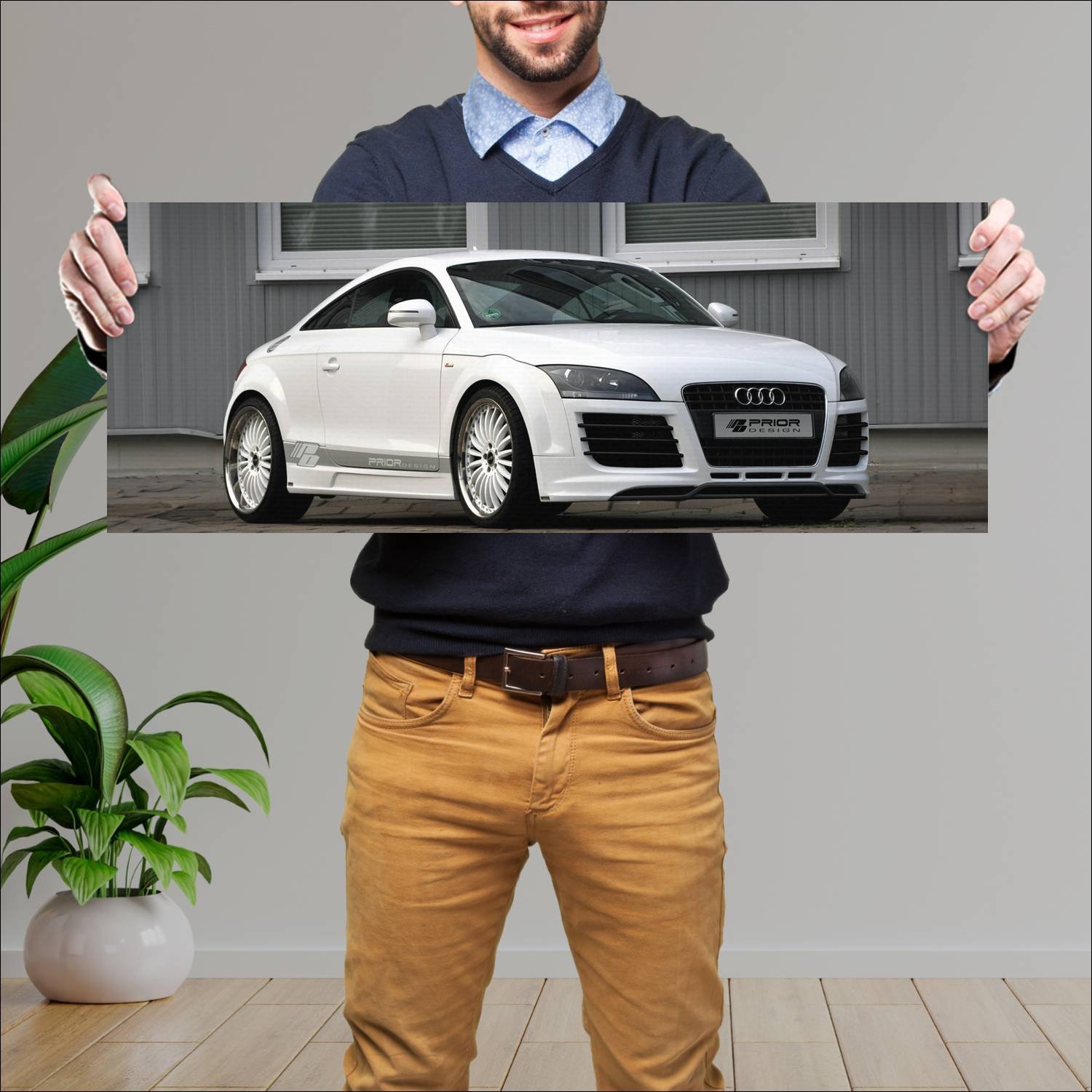 Cuadro grande 30x80cm 2010 audi tt coupe by prior 592 Audi