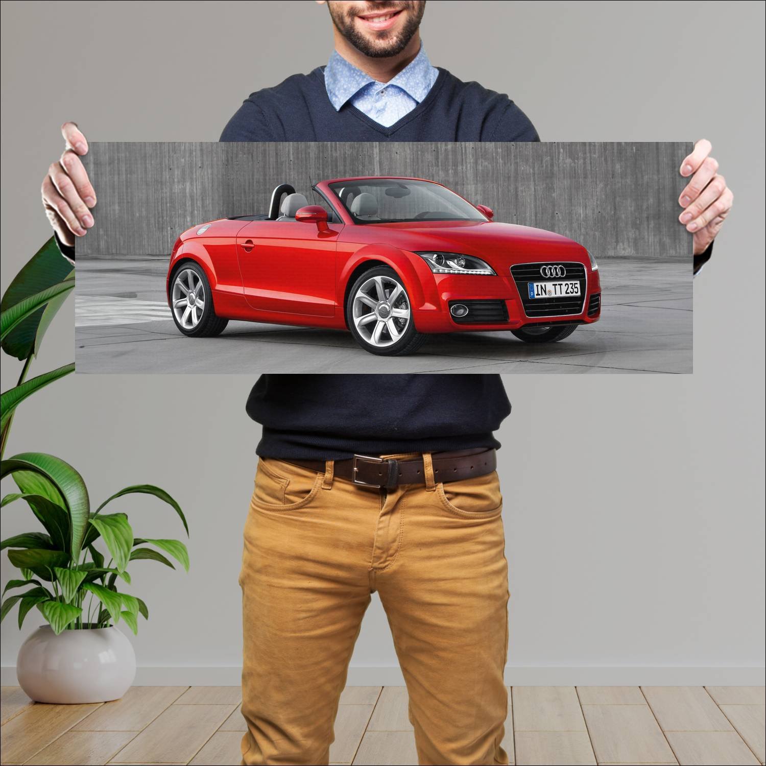 Cuadro grande 30x80cm 2010 audi tt roadster auto 593 Audi