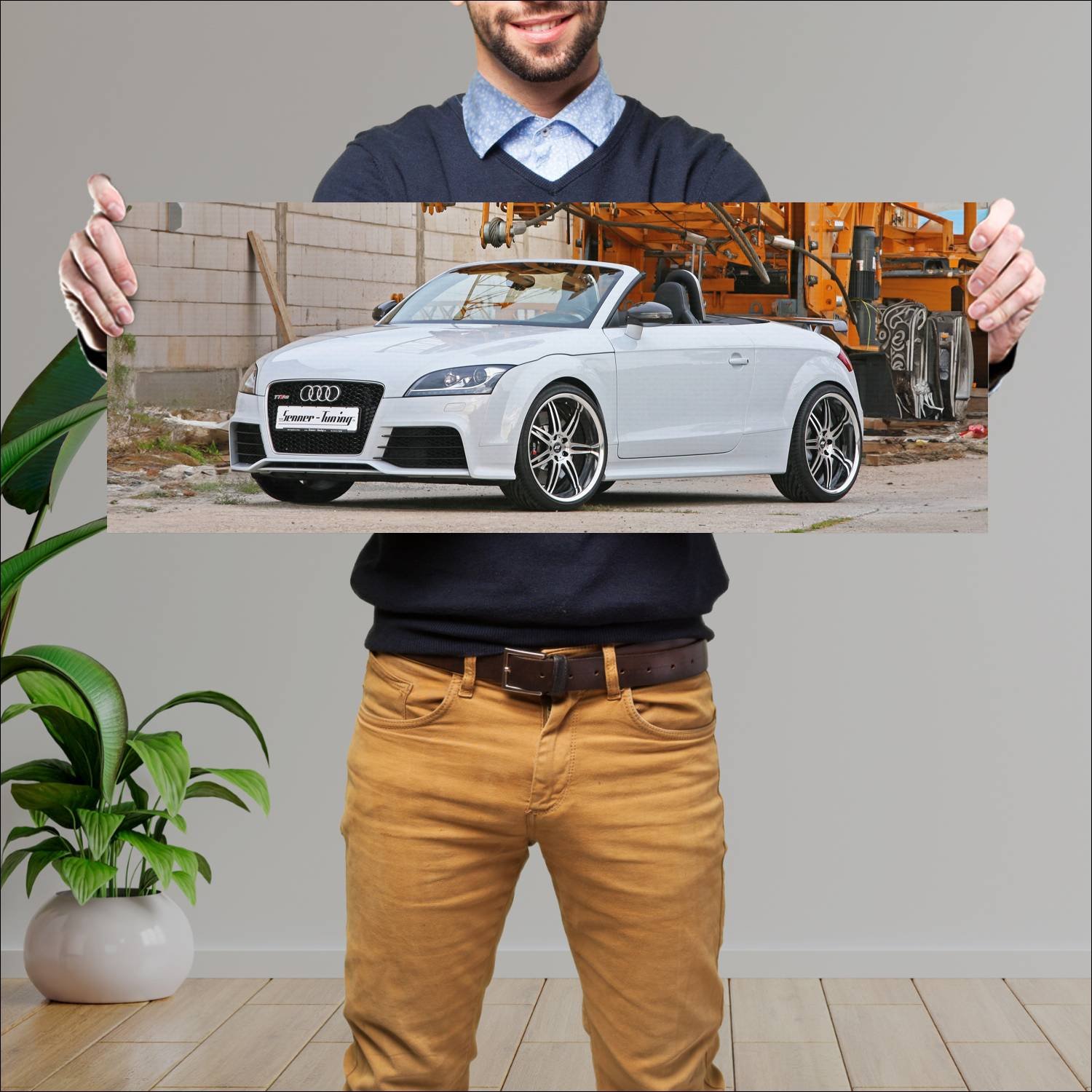 Cuadro grande 30x80cm 2010 audi tt rs roadster by 597 Audi