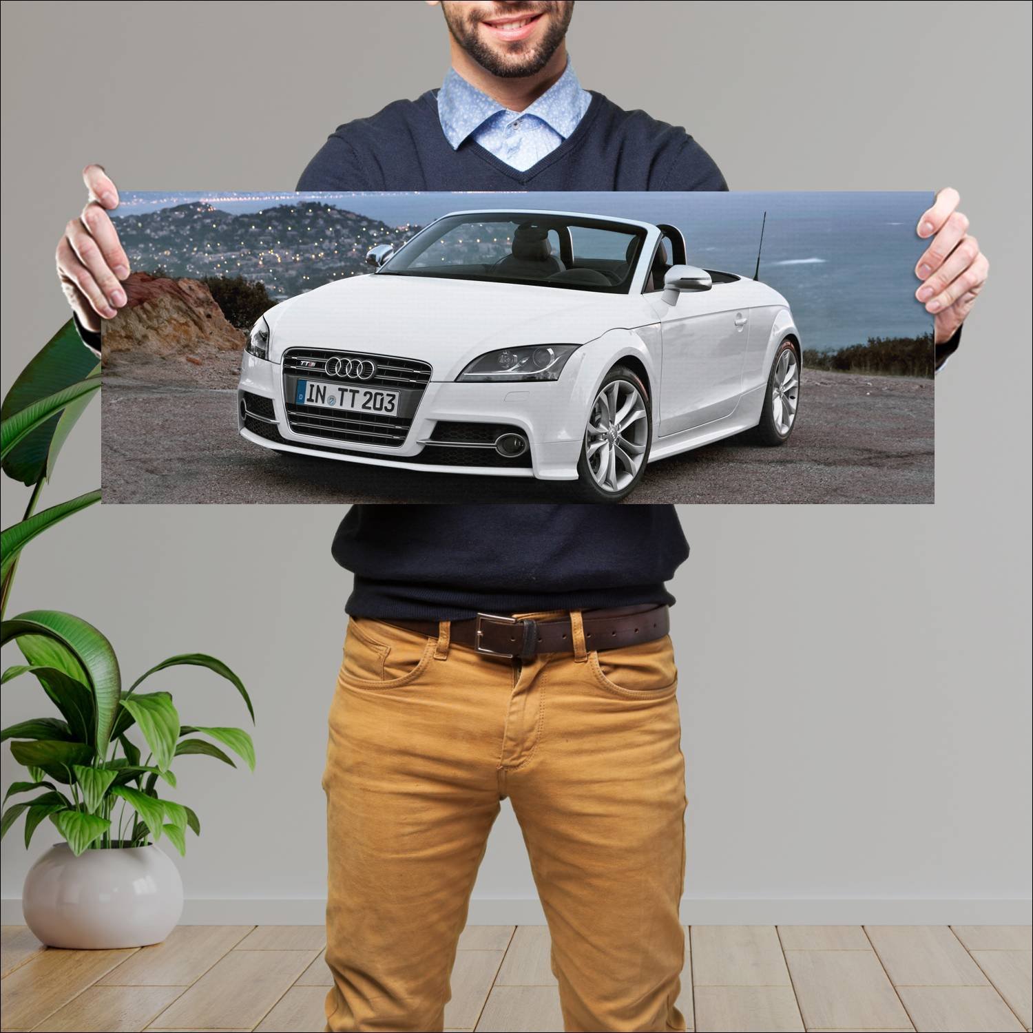 Cuadro grande 30x80cm 2010 audi tts roadster auto 599 Audi