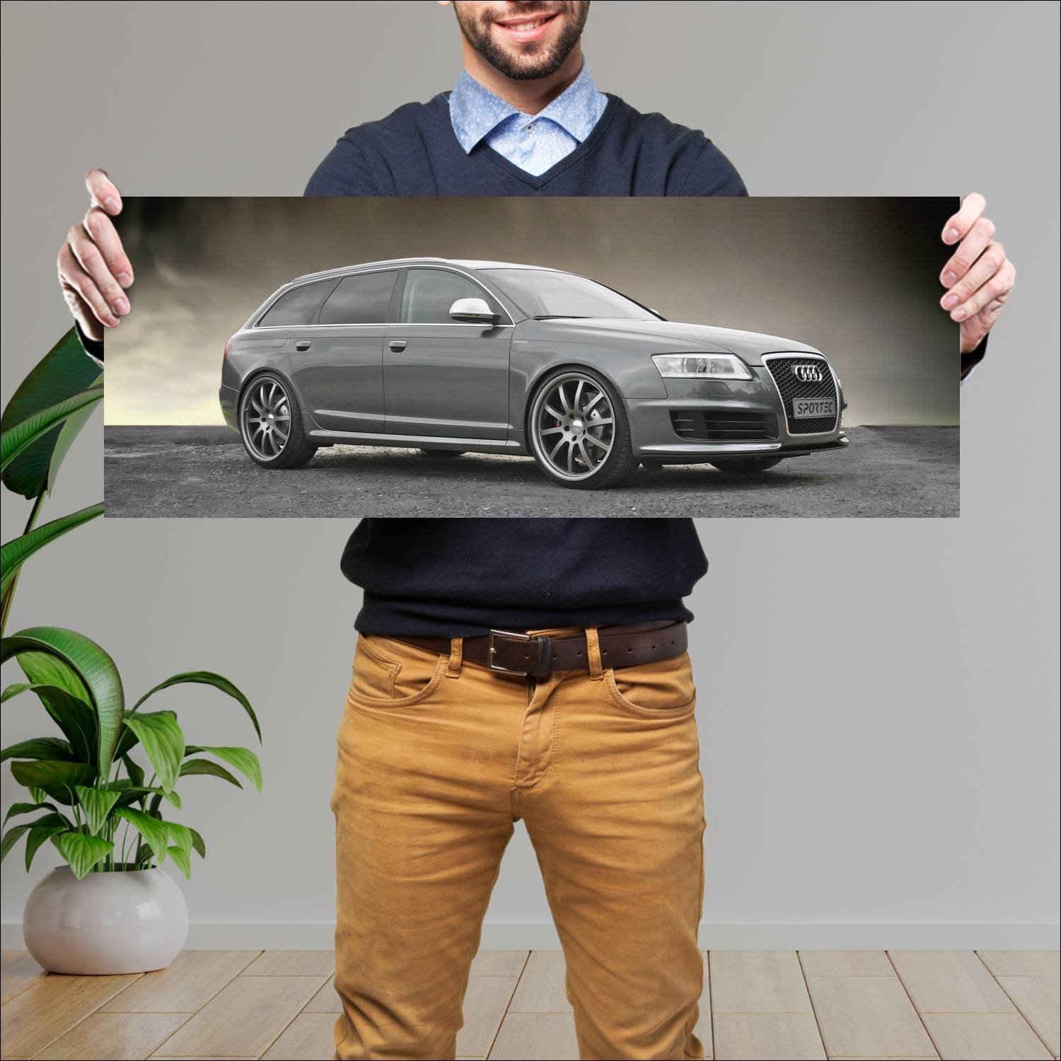 Cuadro grande 30x80cm 2010 sportec rs 650 based on 600 Audi