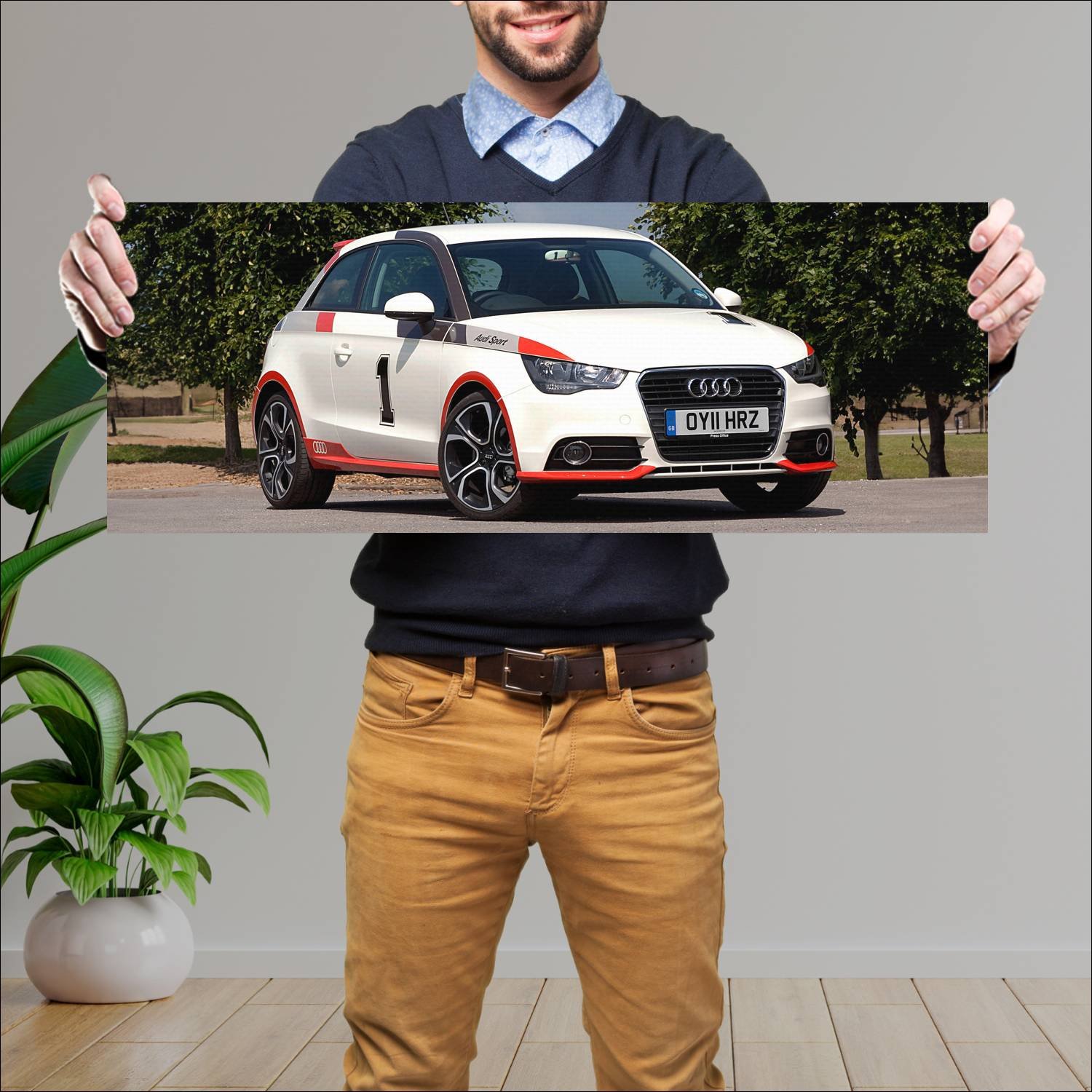 Cuadro grande 30x80cm 2011 audi a1 competition lin 606 Audi