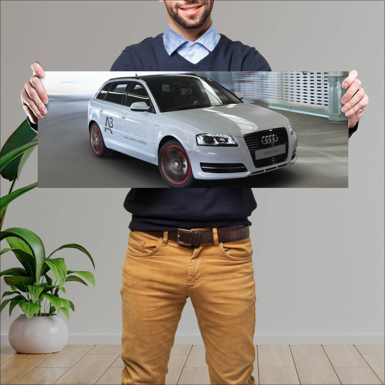 Cuadro grande 30x80cm 2011 audi a3 sportback e tro 613 Audi