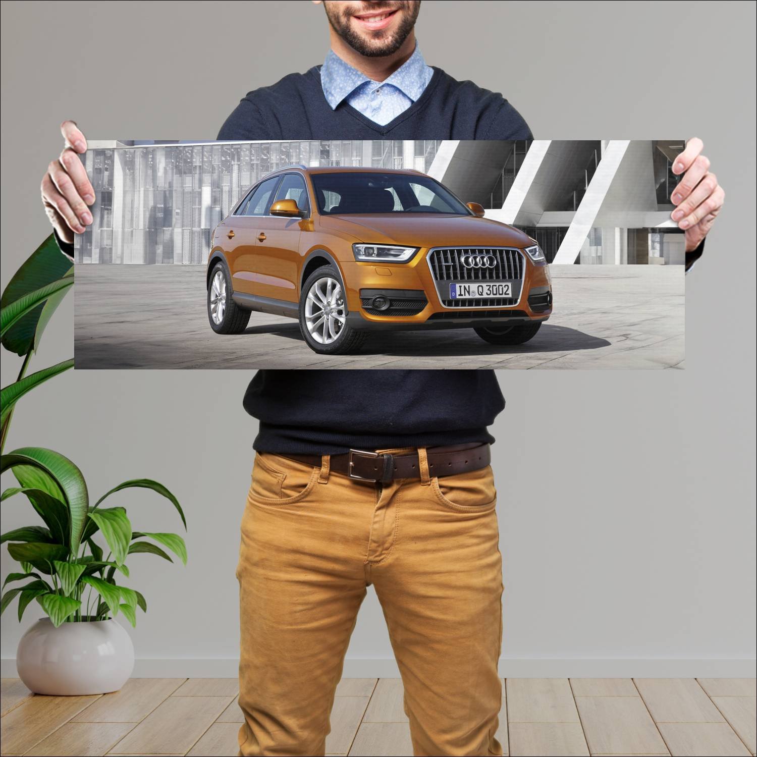 Cuadro grande 30x80cm 2011 audi q3 auto 646 Audi