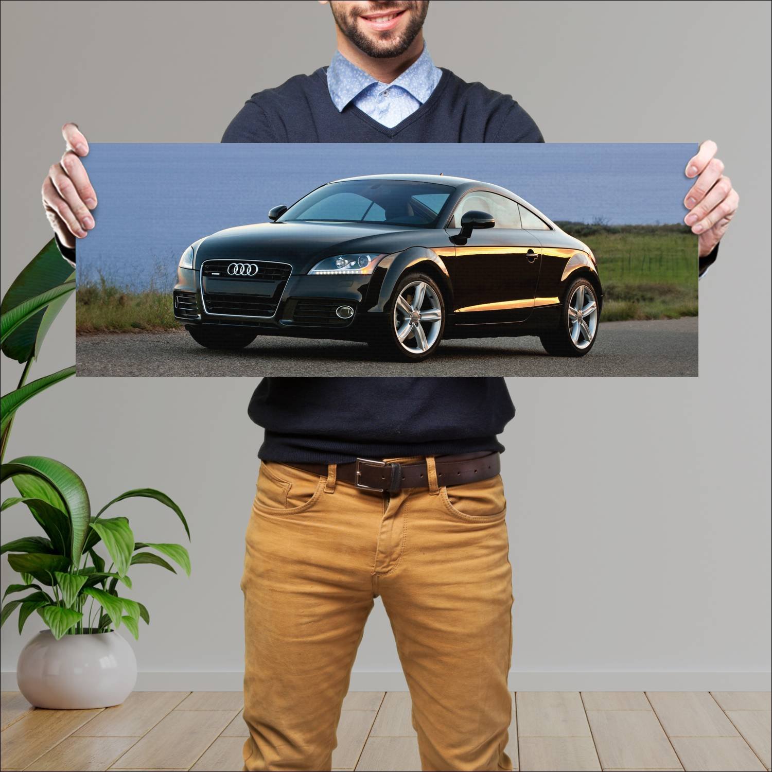 Cuadro grande 30x80cm 2011 audi tt coupe us auto 672 Audi