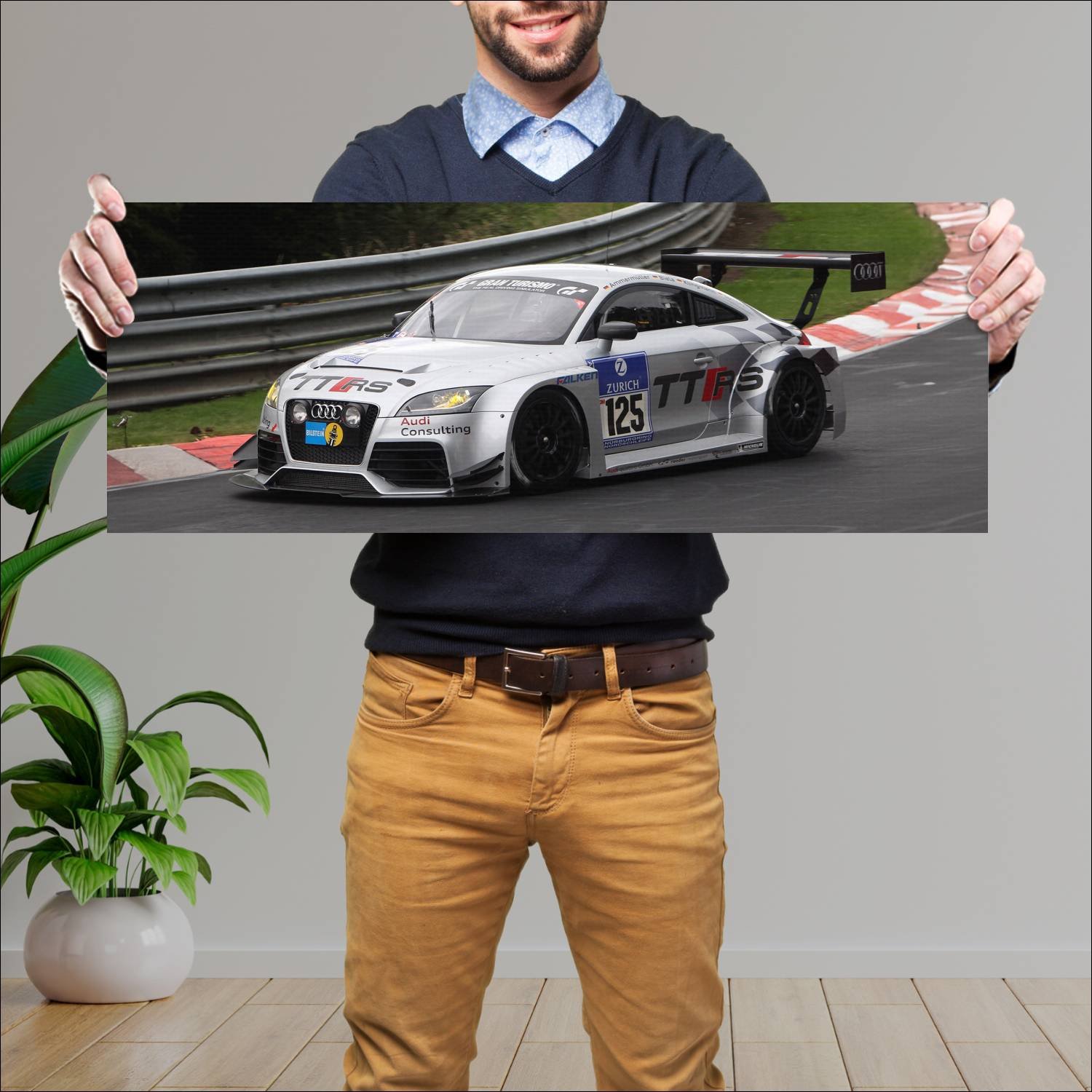 Cuadro grande 30x80cm 2011 audi tt rs 24h nurburgr 674 Audi
