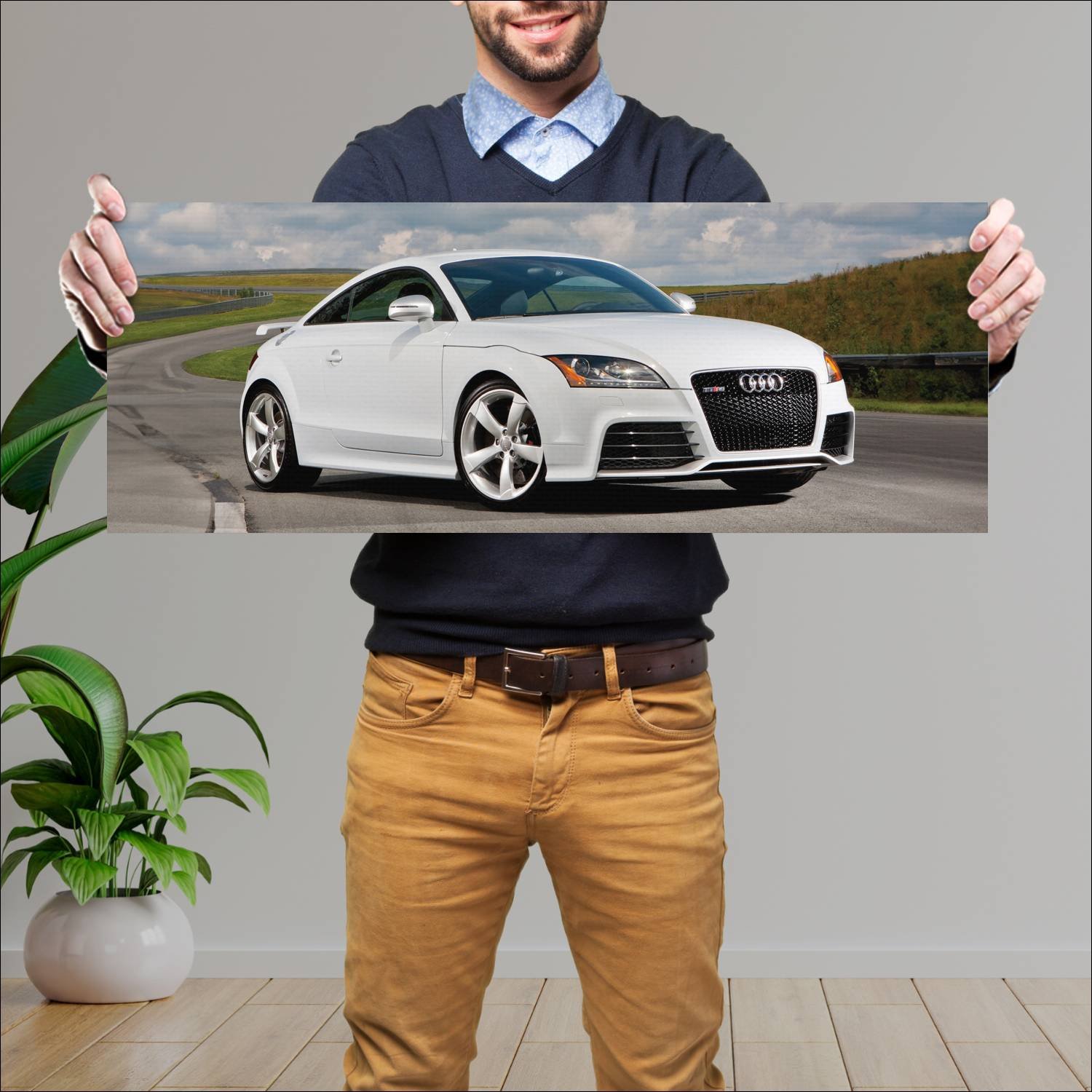 Cuadro grande 30x80cm 2011 audi tt rs coupe us 867 676 Audi