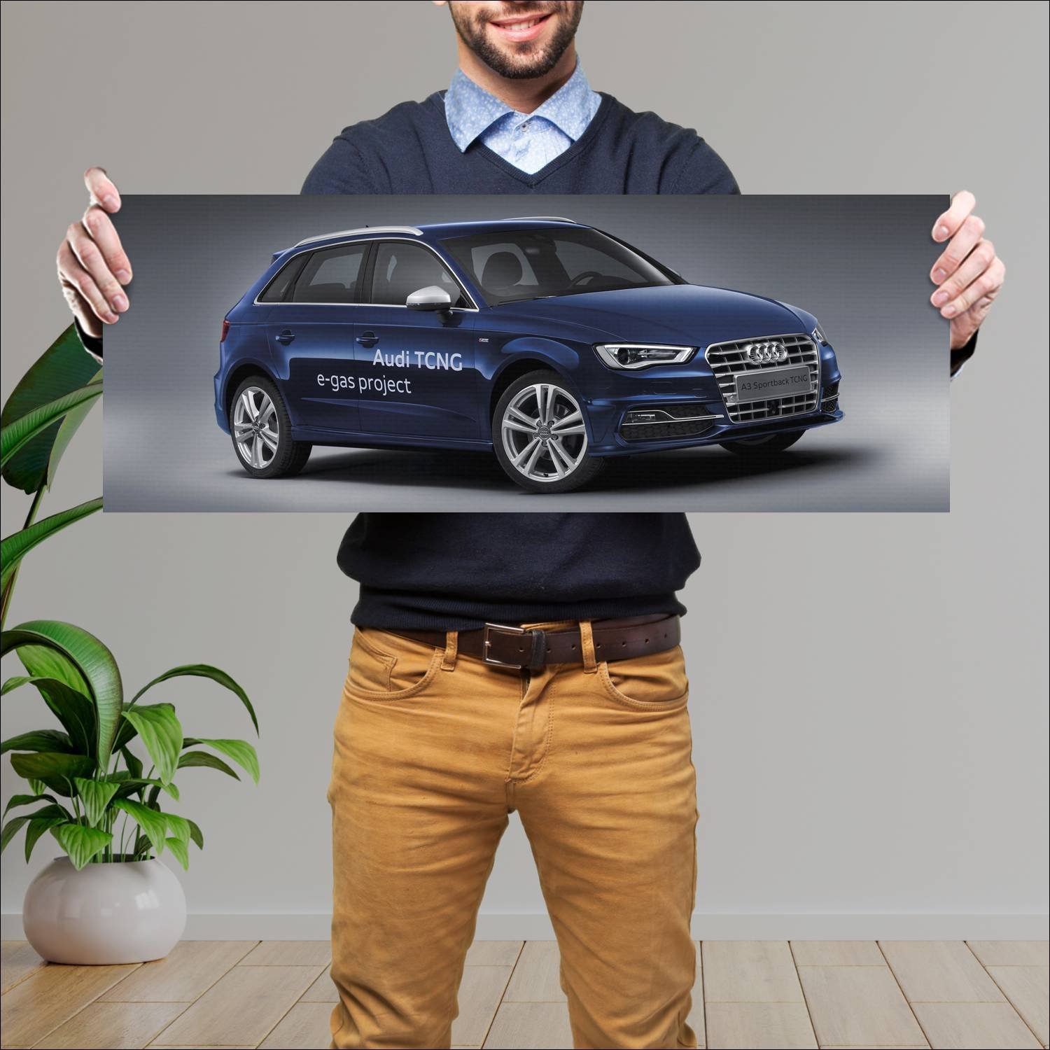 Cuadro grande 30x80cm 2012 audi a3 sportback tcng 706 Audi