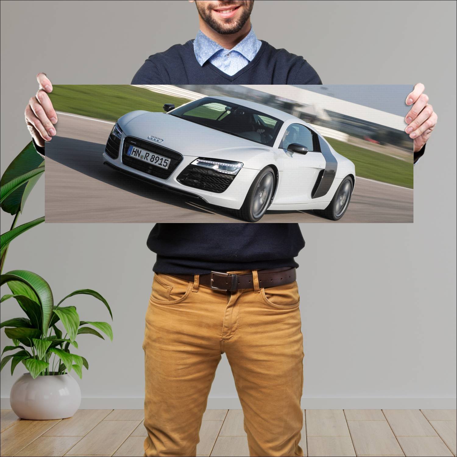 Cuadro grande 30x80cm 2012 audi r8 coupe auto 752 Audi