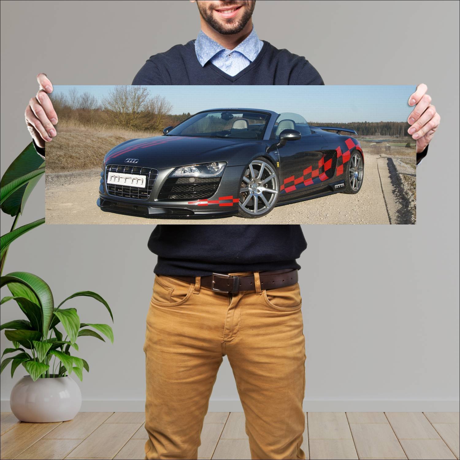 Cuadro grande 30x80cm 2012 audi r8 v10 spyder by m 760 Audi