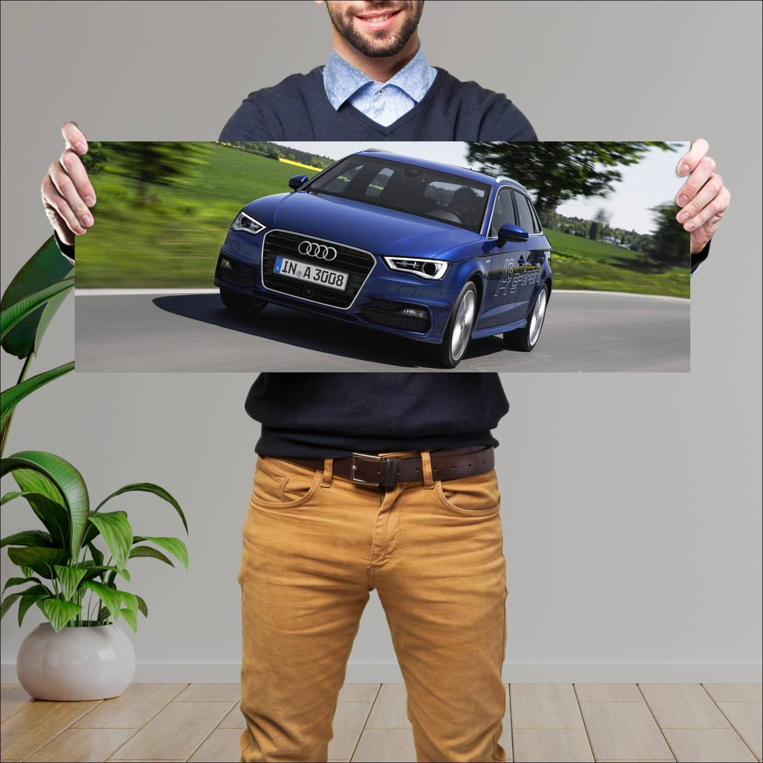 Cuadro grande 30x80cm 2013 audi a3 sportback g tro 815 Audi