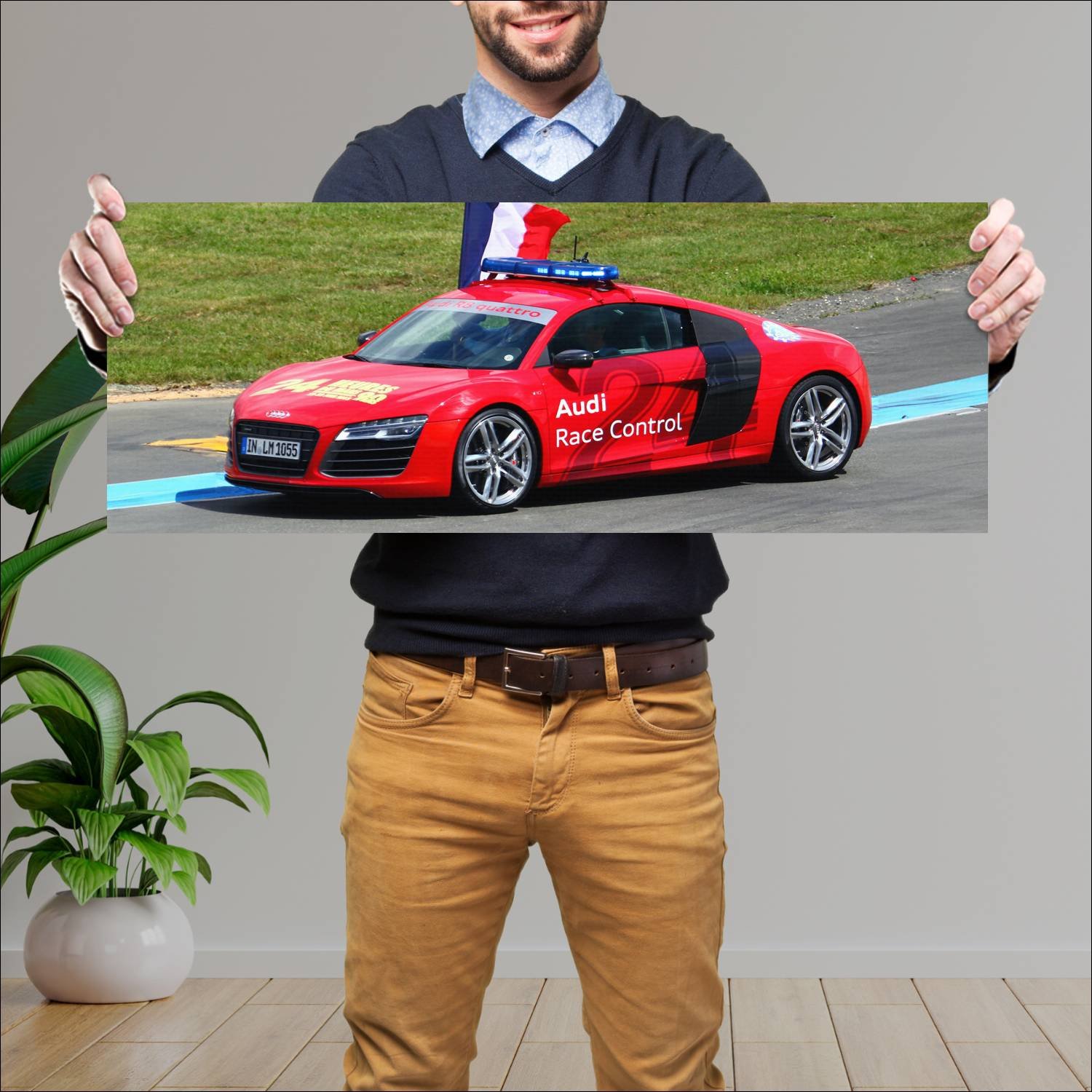 Cuadro grande 30x80cm 2013 audi r8 v10 coupe 24h l 828 Audi