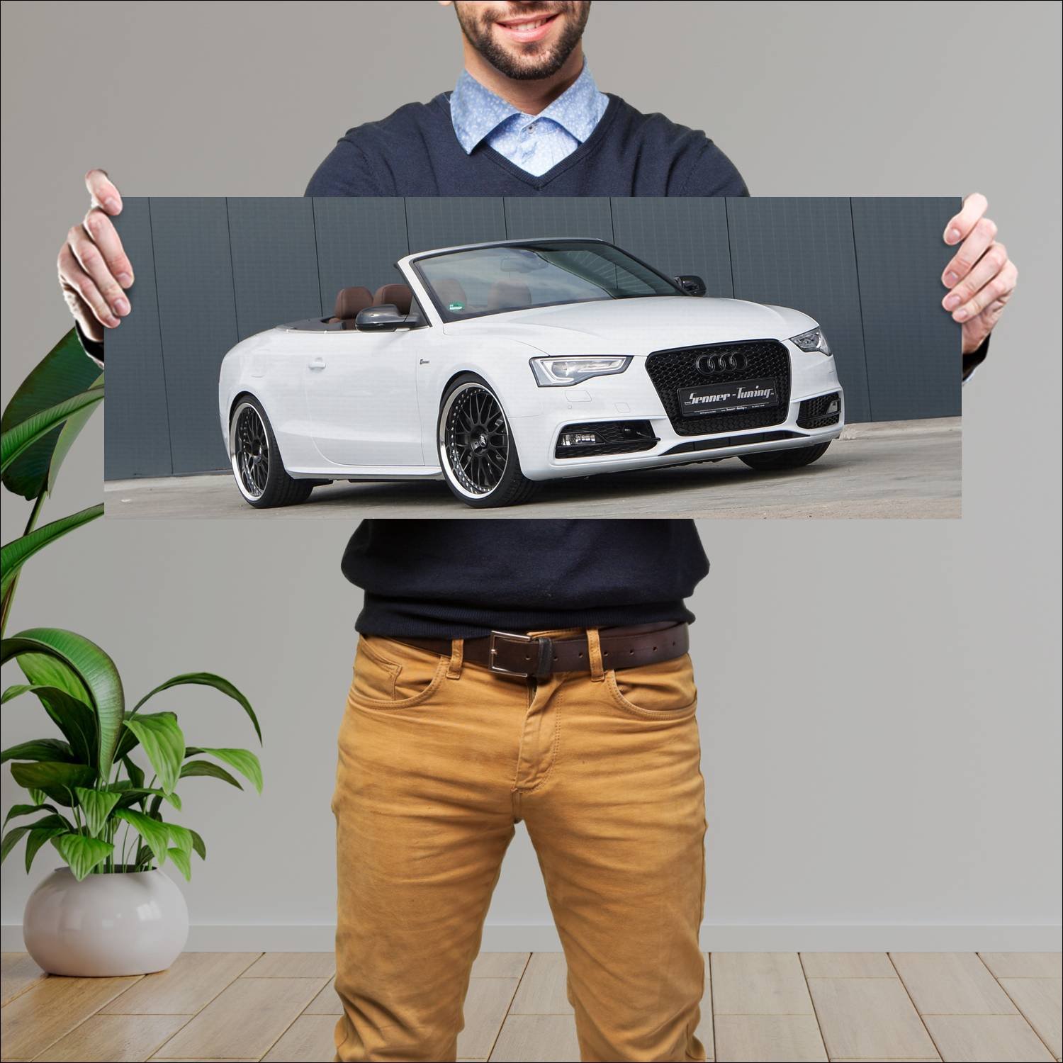 Cuadro grande 30x80cm 2013 audi s5 cabriolet by se 865 Audi