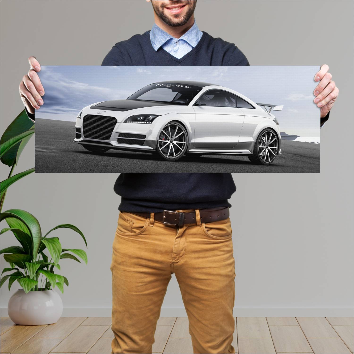 Cuadro grande 30x80cm 2013 audi tt ultra quattro c 871 Audi