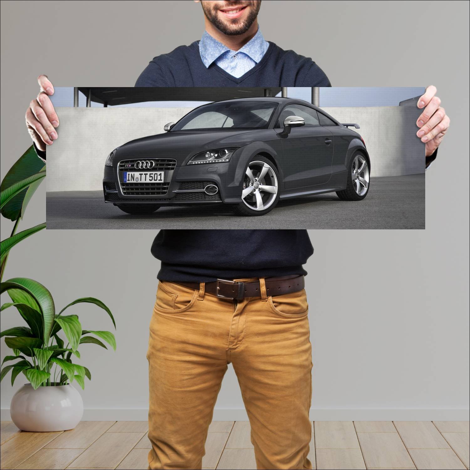Cuadro grande 30x80cm 2013 audi tts coupe competit 872 Audi
