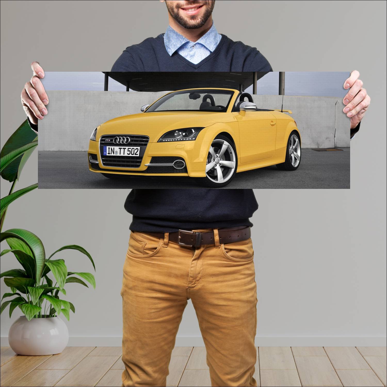 Cuadro grande 30x80cm 2013 audi tts roadster compe 873 Audi