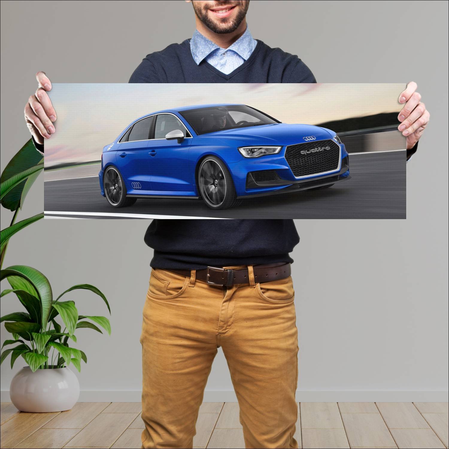 Cuadro grande 30x80cm 2014 audi a3 clubsport quatt 885 Audi