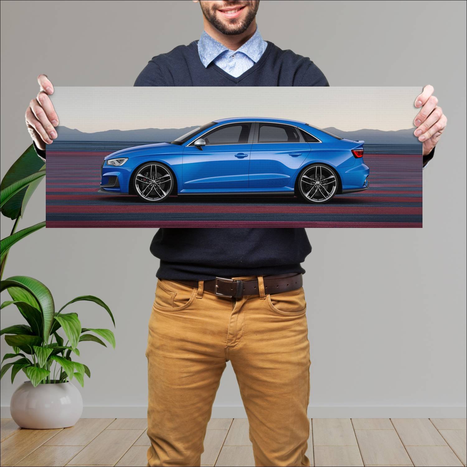 Cuadro grande 30x80cm 2014 audi a3 clubsport quatt 886 Audi