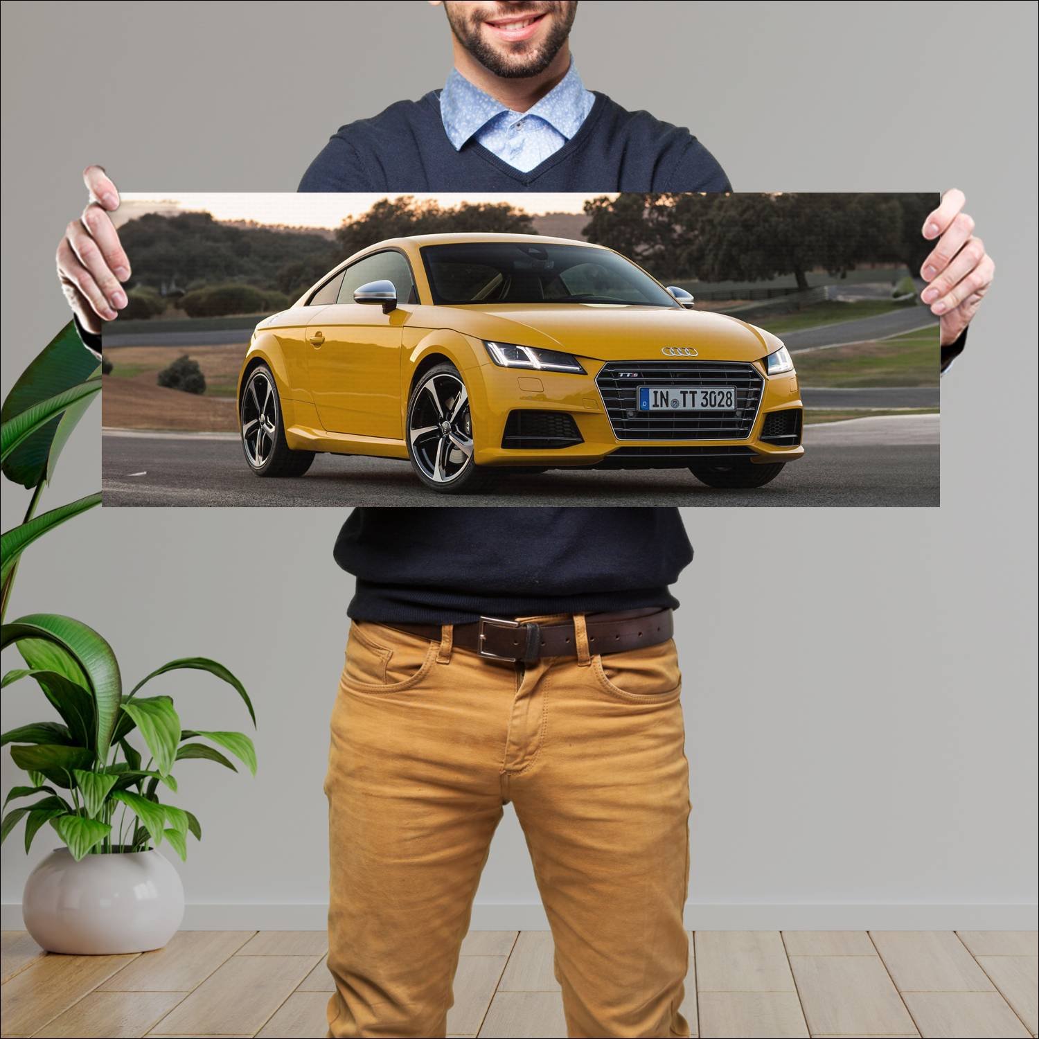 Cuadro grande 30x80cm 2014 audi tts coupe auto 976 Audi