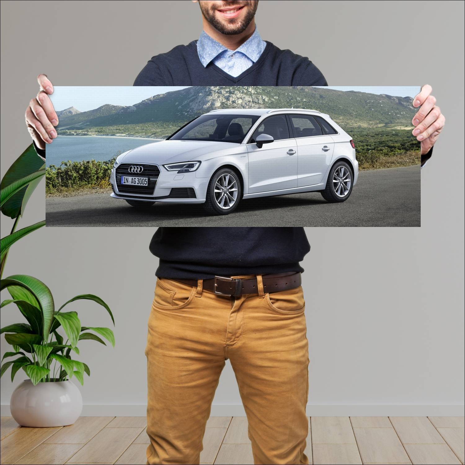 Cuadro grande 30x80cm 2016 audi a3 sportback g tro 117 Audi