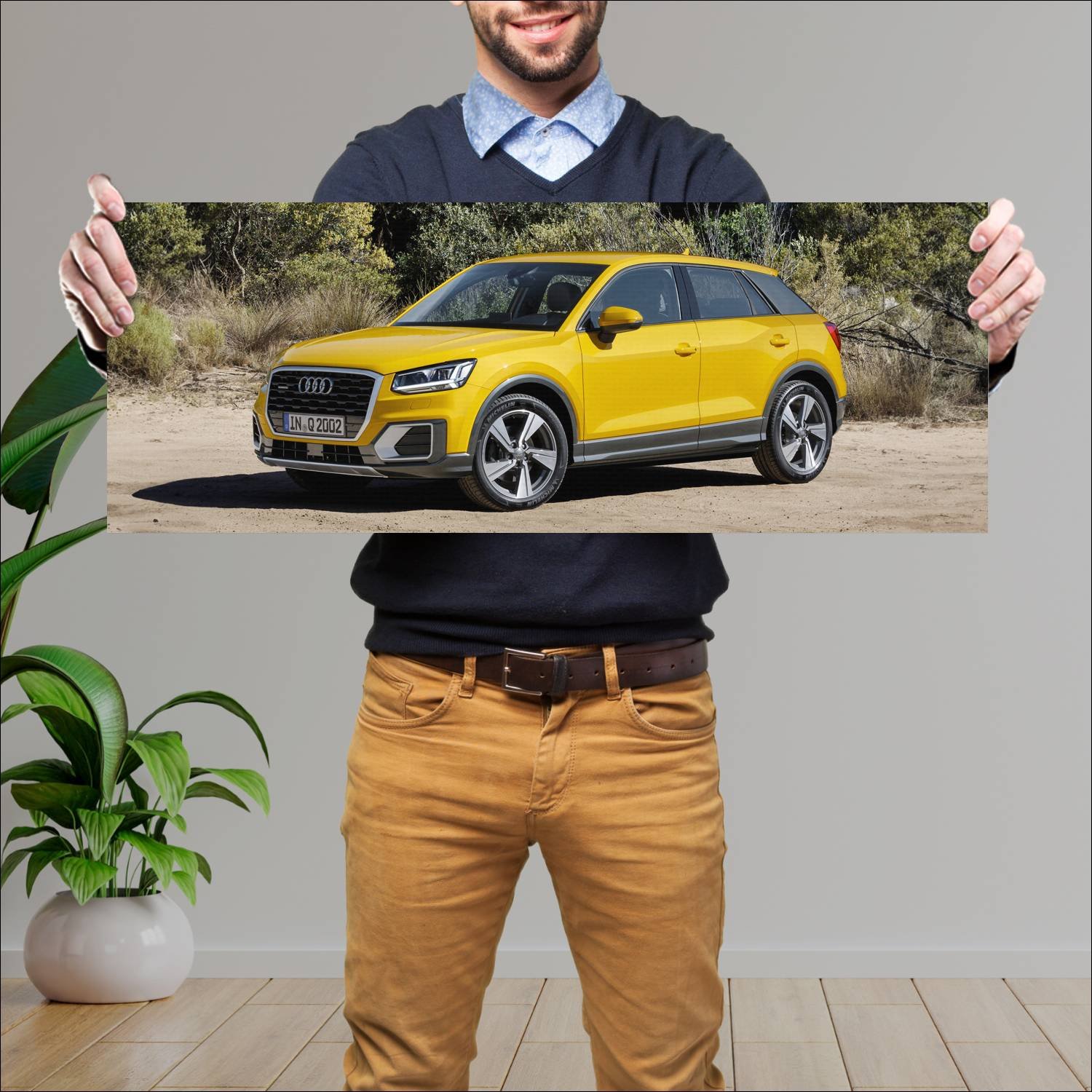 Cuadro grande 30x80cm 2016 audi q2 auto 158 Audi