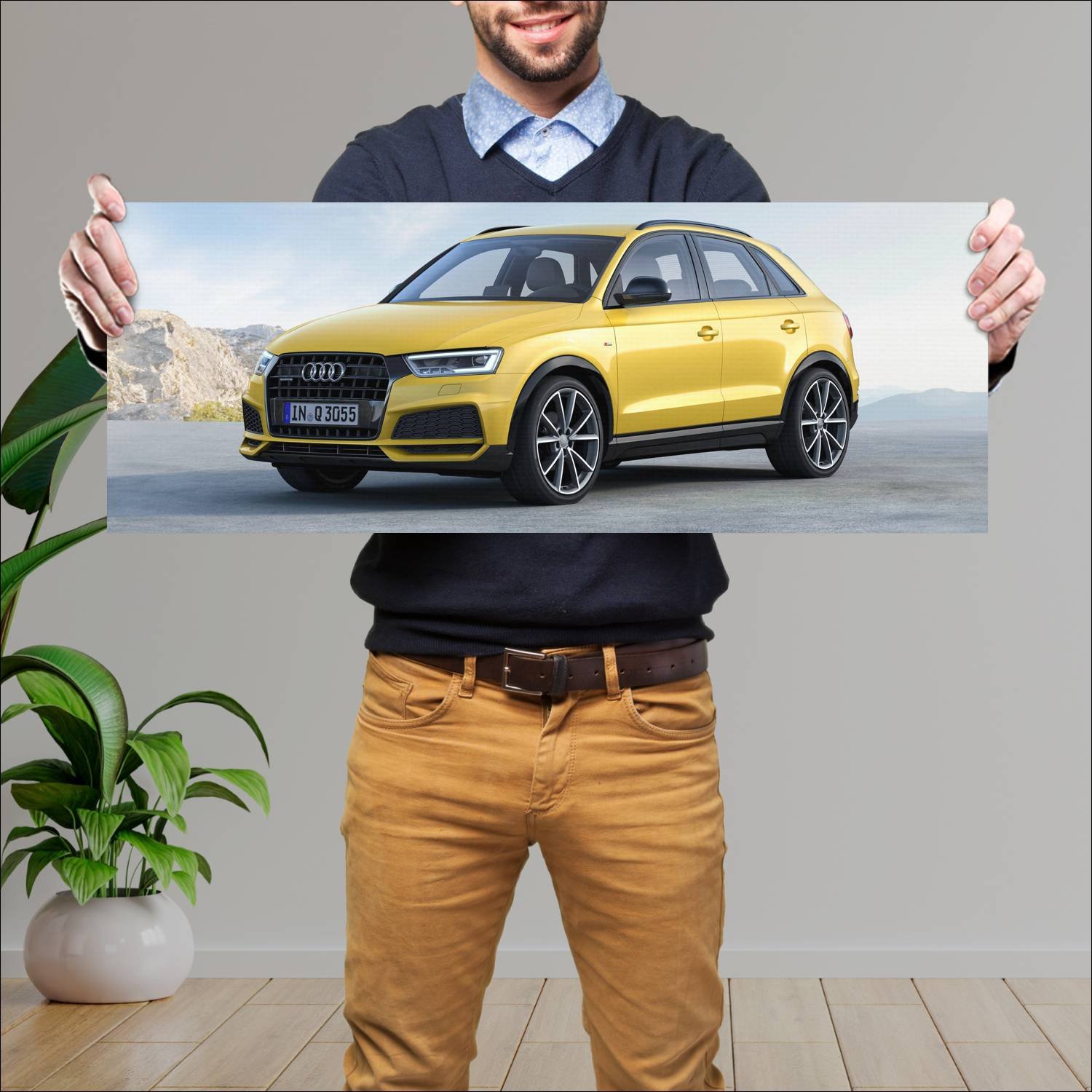 Cuadro grande 30x80cm 2016 audi q3 s line competit 170 Audi