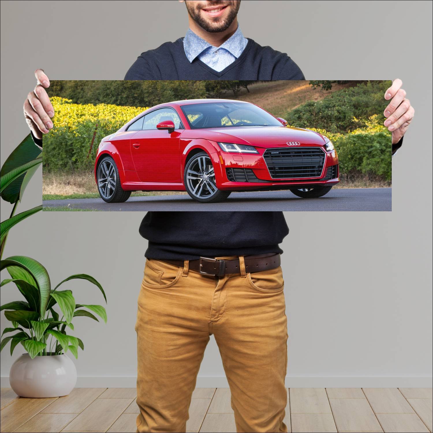 Cuadro grande 30x80cm 2016 audi tt coupe us auto 231 Audi