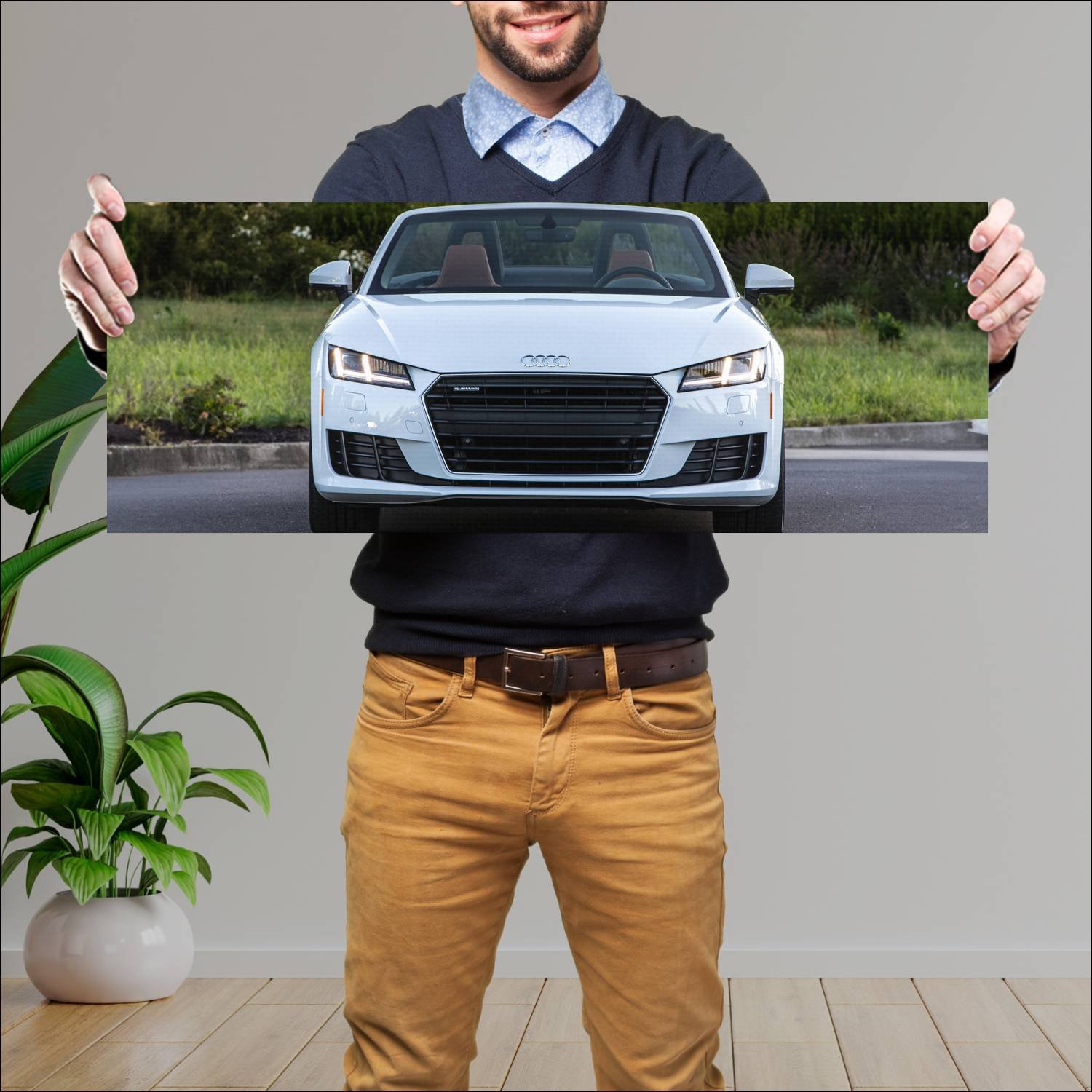 Cuadro grande 30x80cm 2016 audi tt roadster us 325 233 Audi