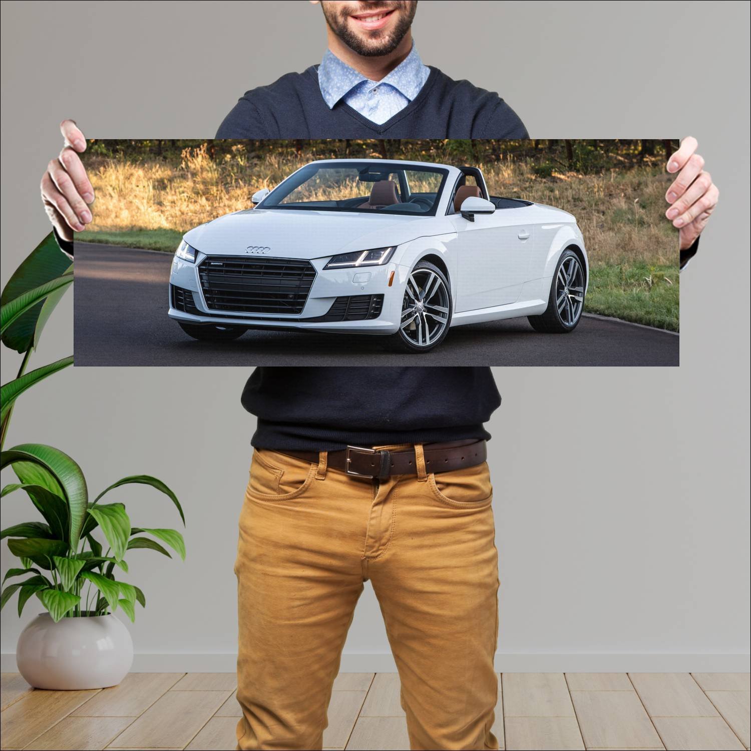 Cuadro grande 30x80cm 2016 audi tt roadster us 325 234 Audi