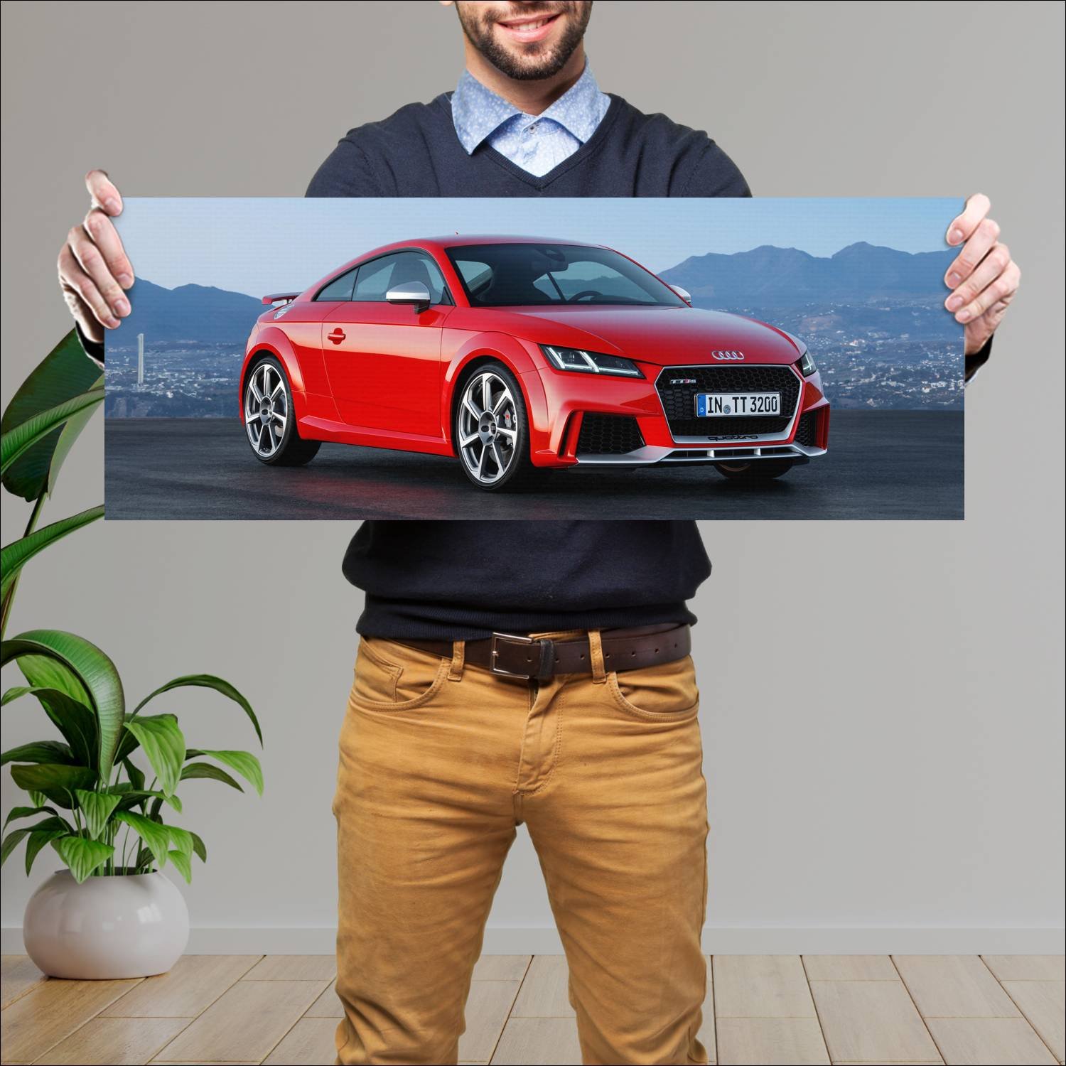 Cuadro grande 30x80cm 2016 audi tt rs coupe auto 235 Audi