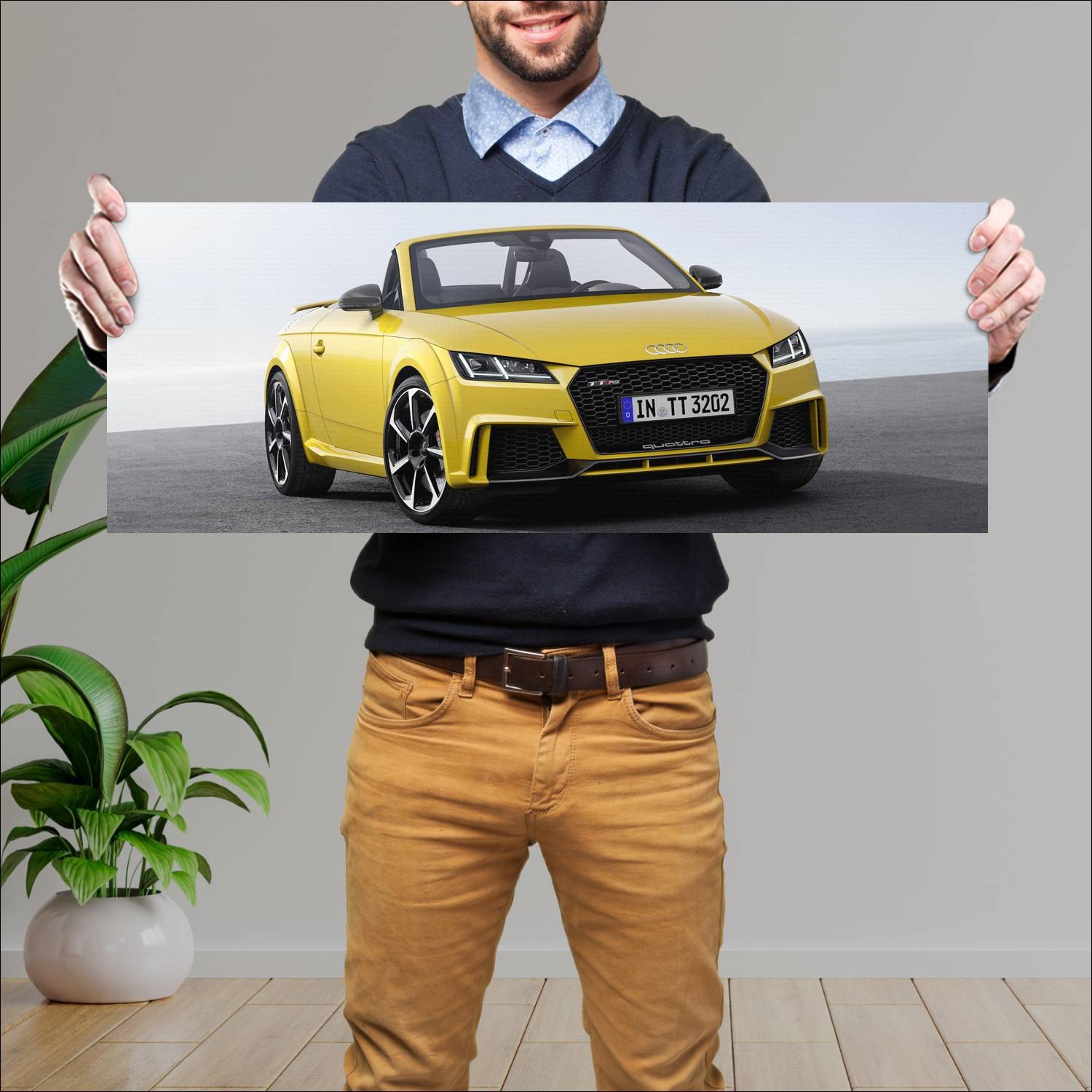 Cuadro grande 30x80cm 2016 audi tt rs roadster 429 237 Audi