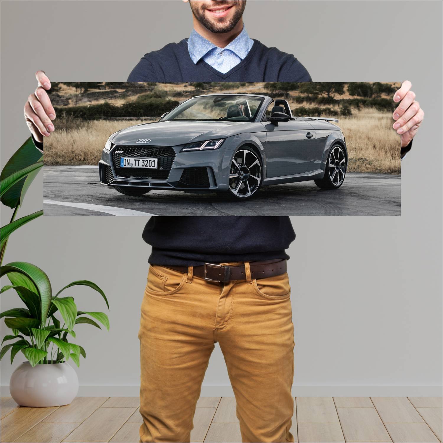 Cuadro grande 30x80cm 2016 audi tt rs roadster 572 238 Audi