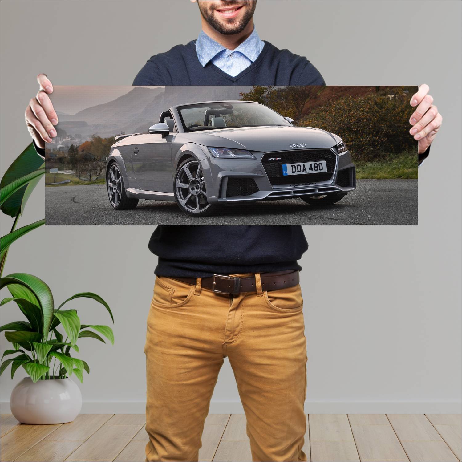 Cuadro grande 30x80cm 2016 audi tt rs roadster uk 239 Audi
