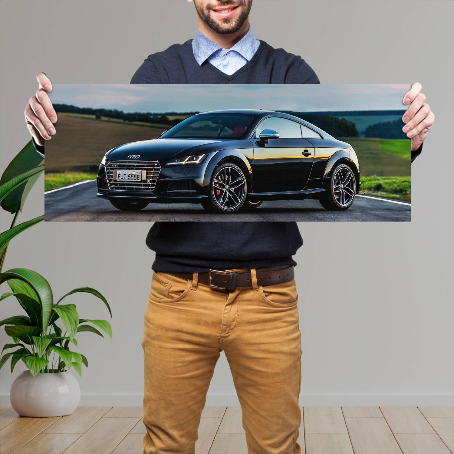 Cuadro grande 30x80cm 2016 audi tts coupe br auto 240 Audi